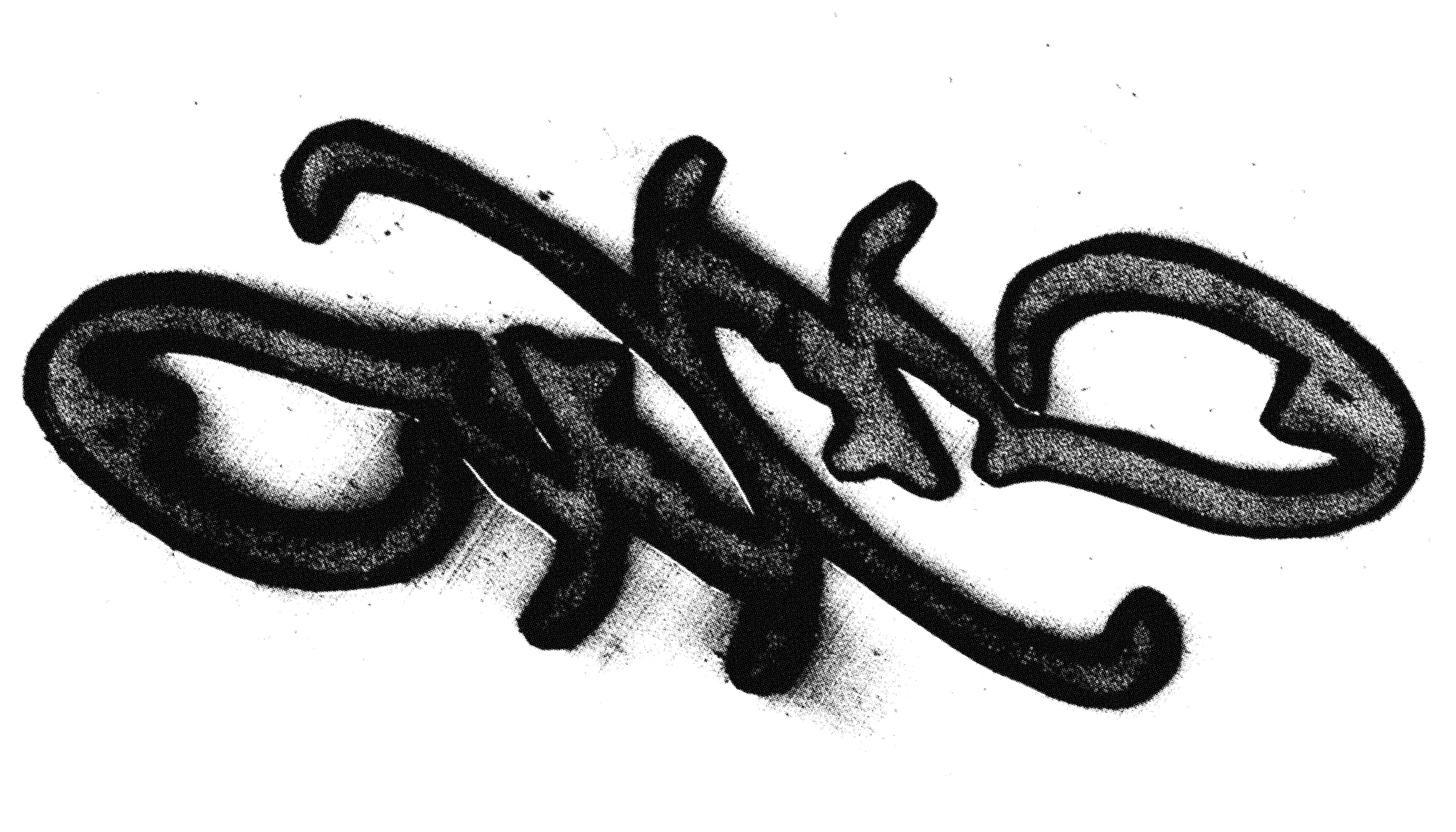 W SCRIPT LOGO.png