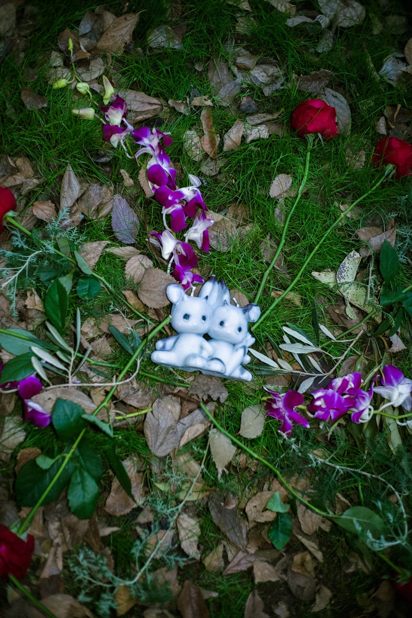 DSCF7490.jpg