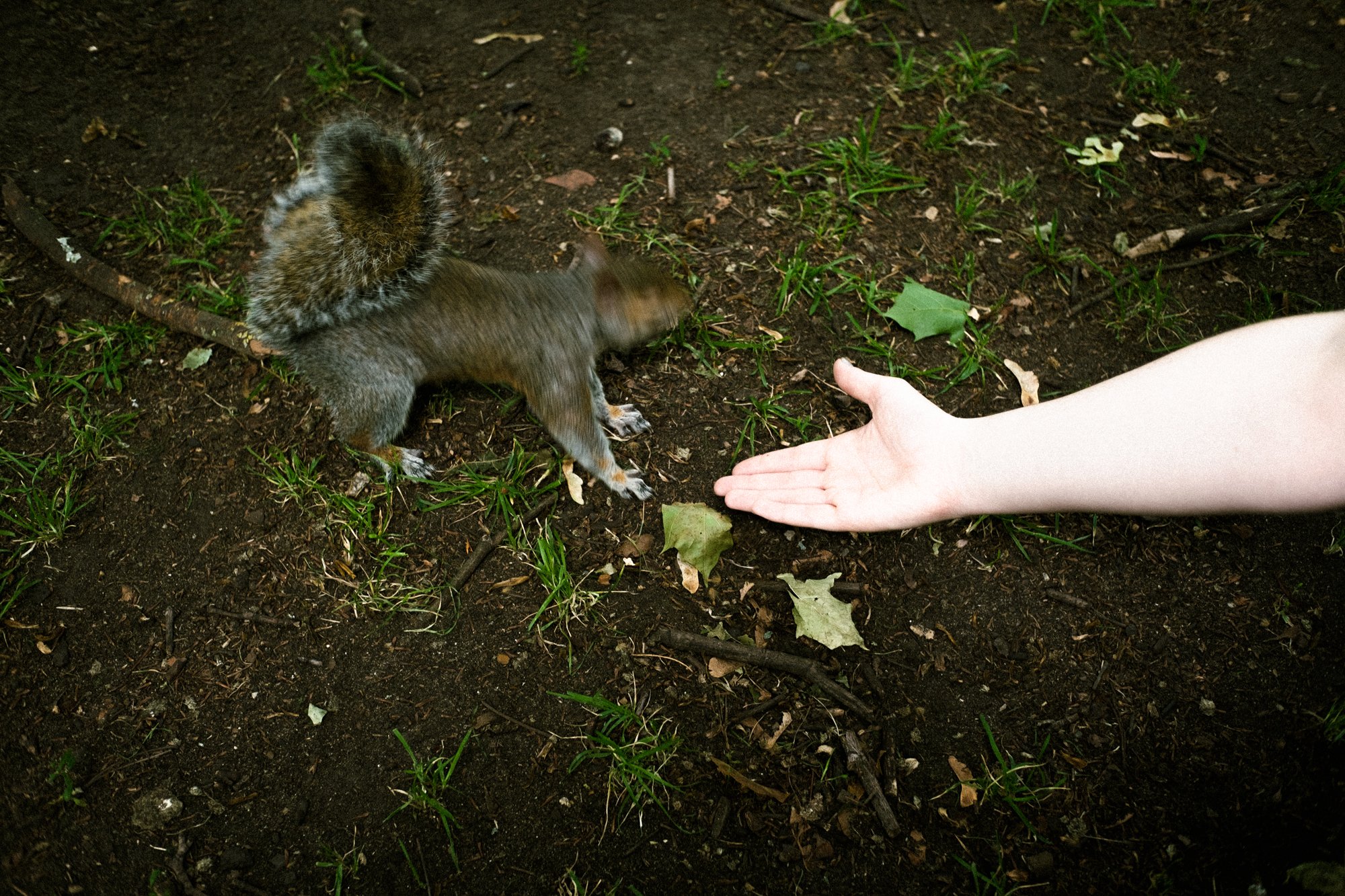 DSCF7583.jpg