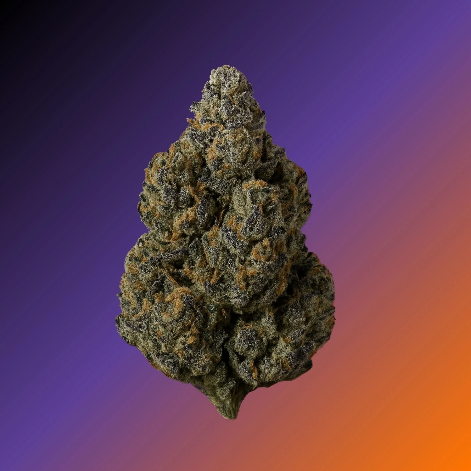 Blue Cookies.jpg
