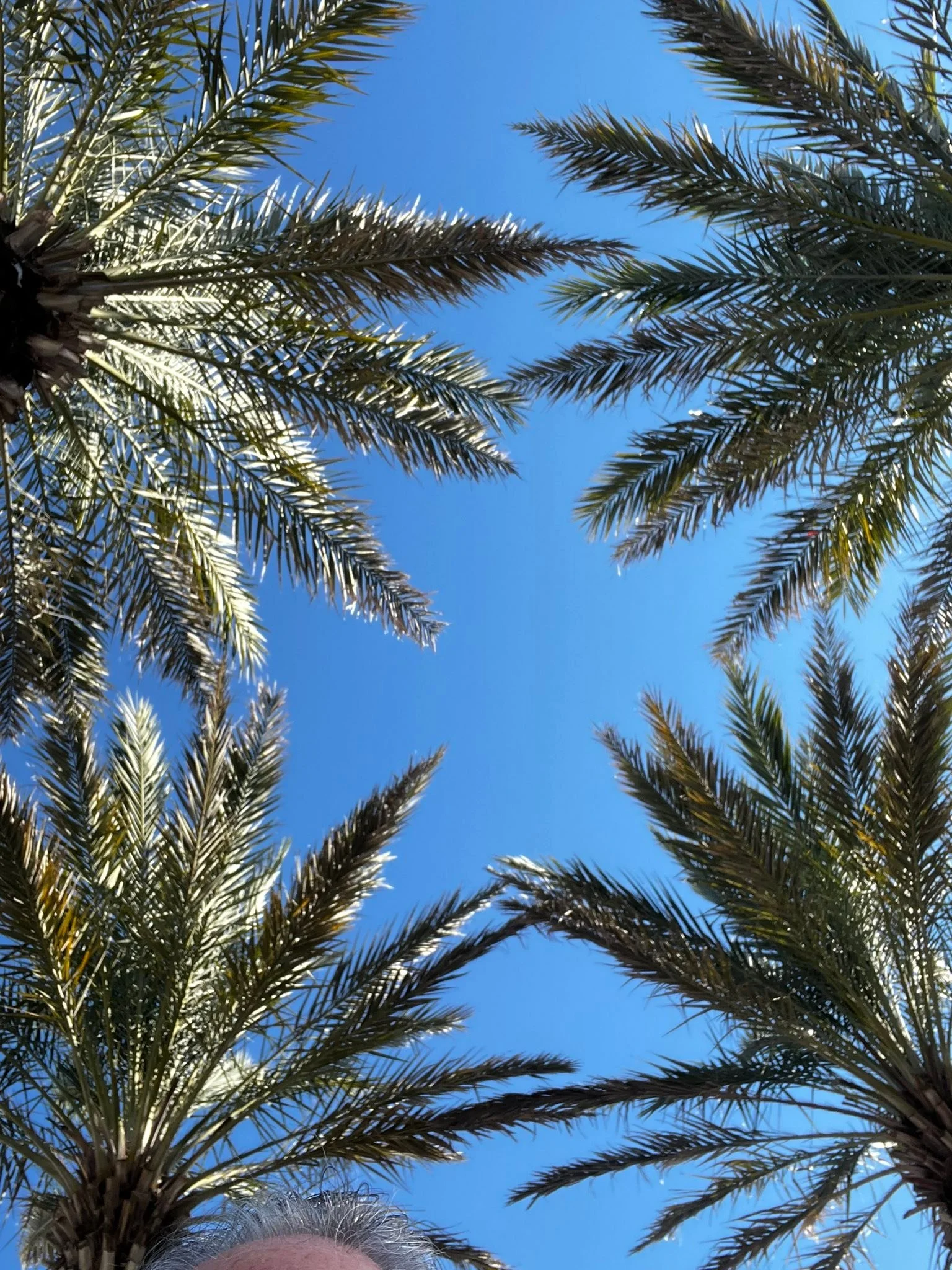 The older I get, the more I dislike the cold weather. Cold is bearable if I can see the sun. If no sun for weeks, AND cold, I gotta to do something different.