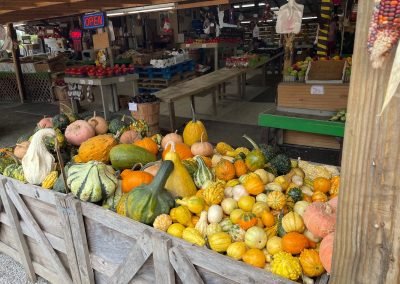 Visit to Local Fruit Stand