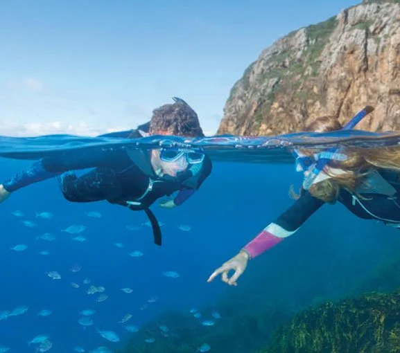 Air New Zealand's sustainability report