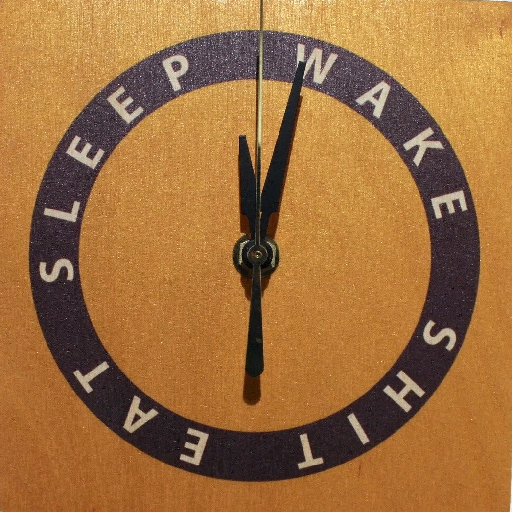 1 Life Cycles - Sleep Wake Shit Eat.jpg