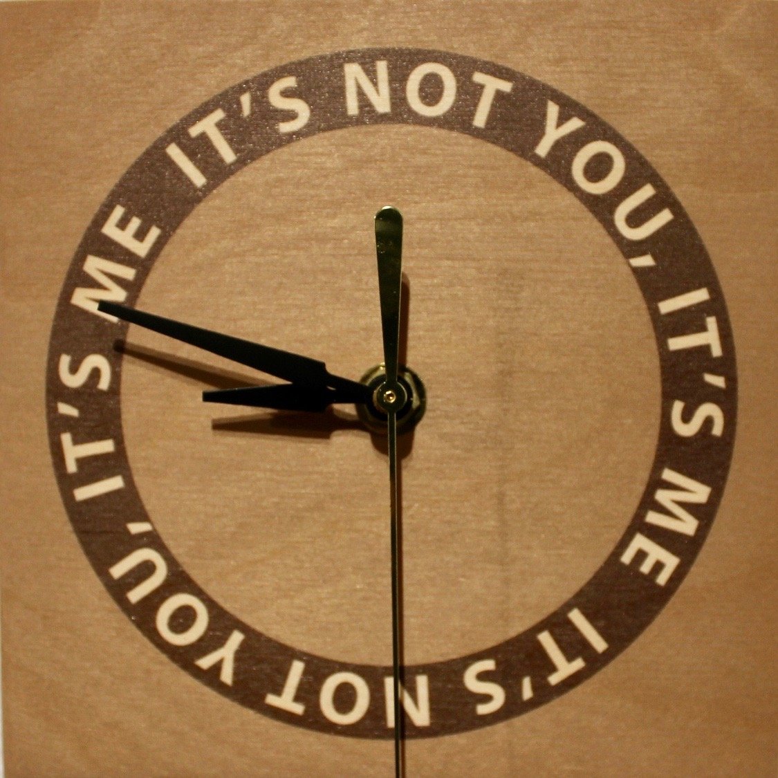 13 Life Cycles - It's Not You, It's Me.jpg