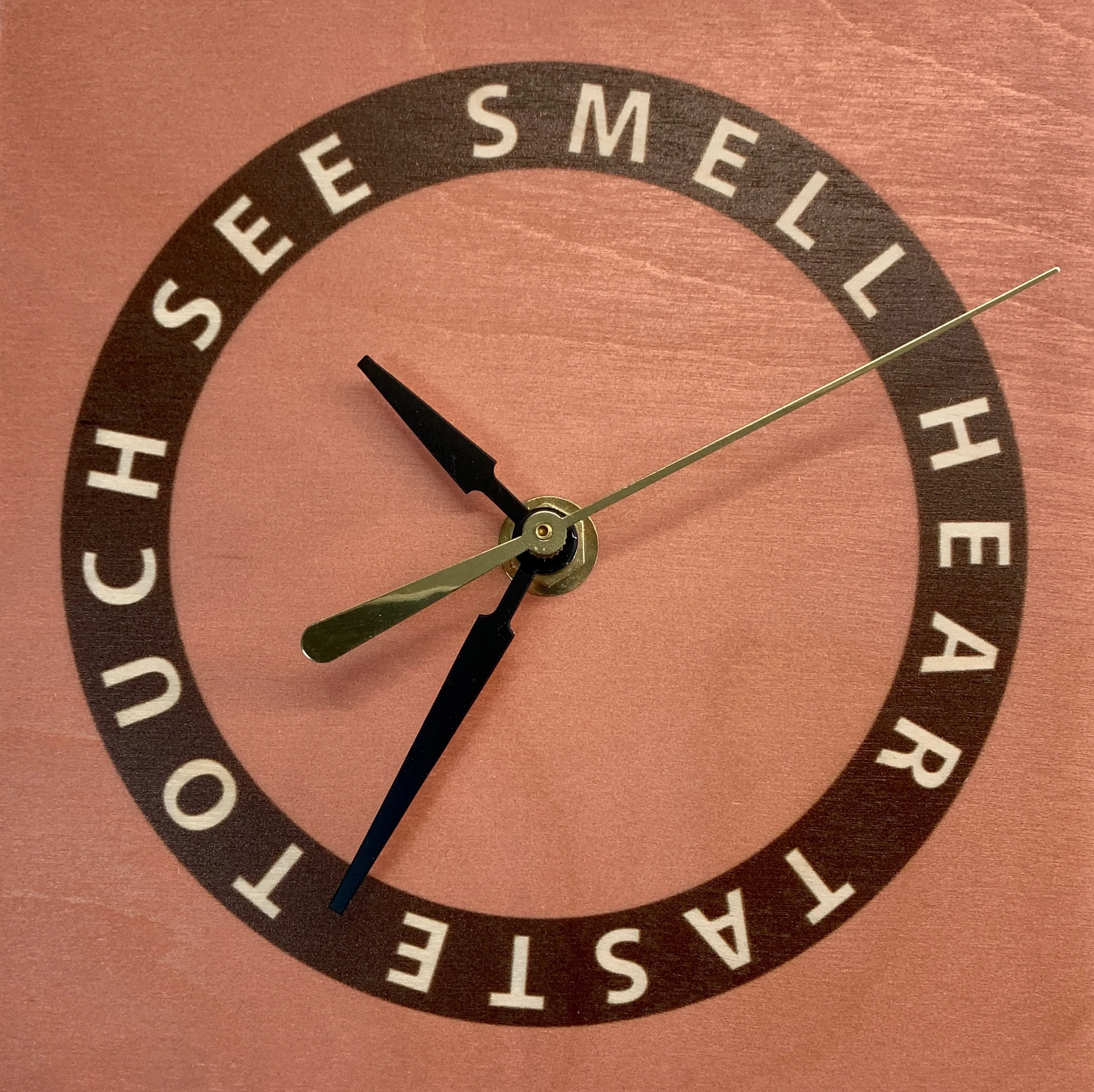 Lifecycles Phase 3, see smell hear taste touch.jpeg