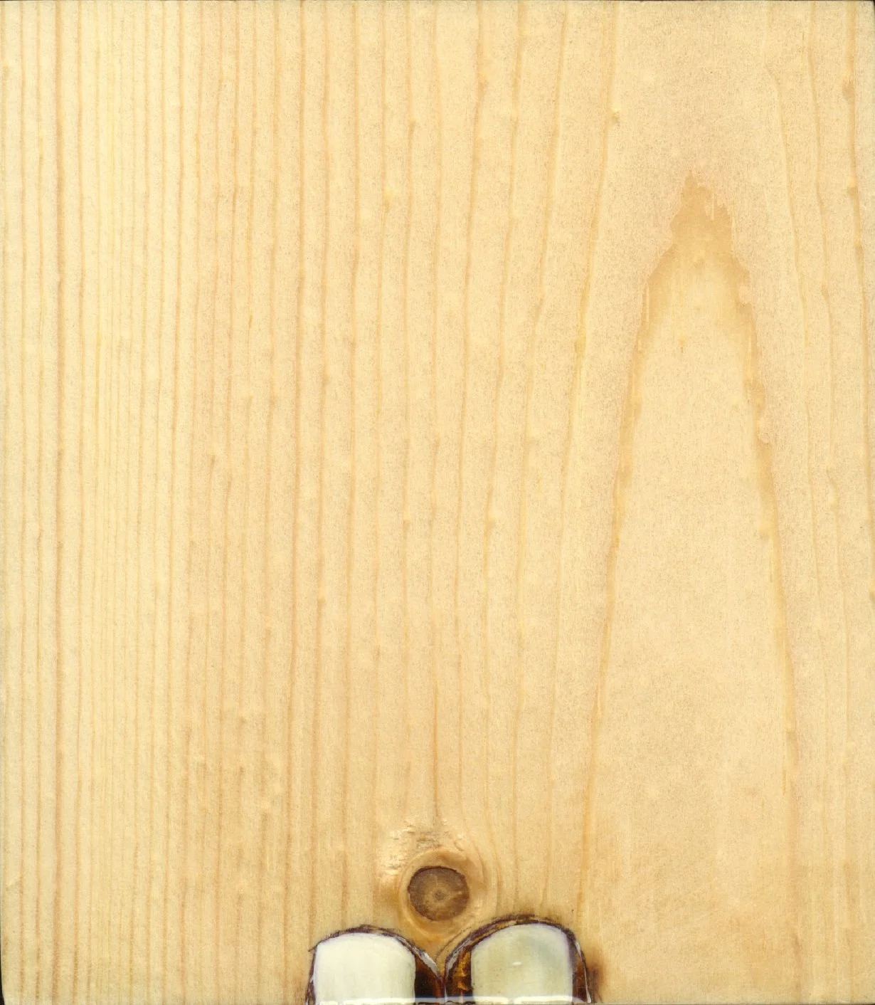 955.jpg