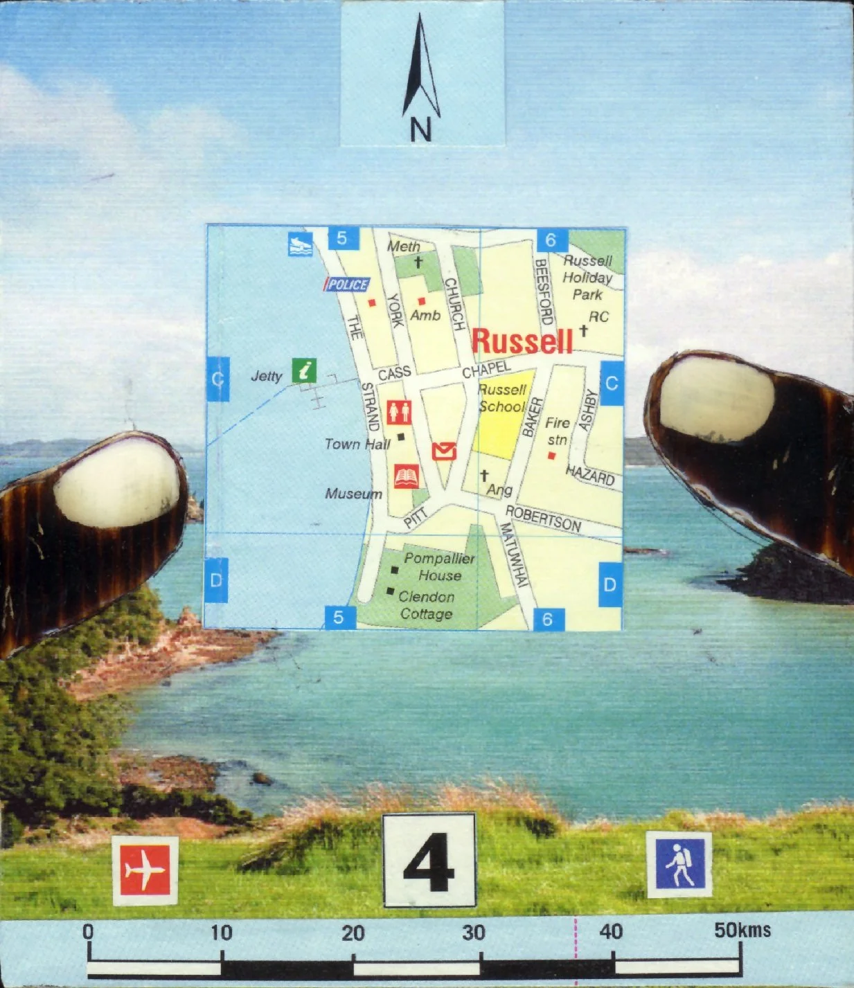 954.jpg