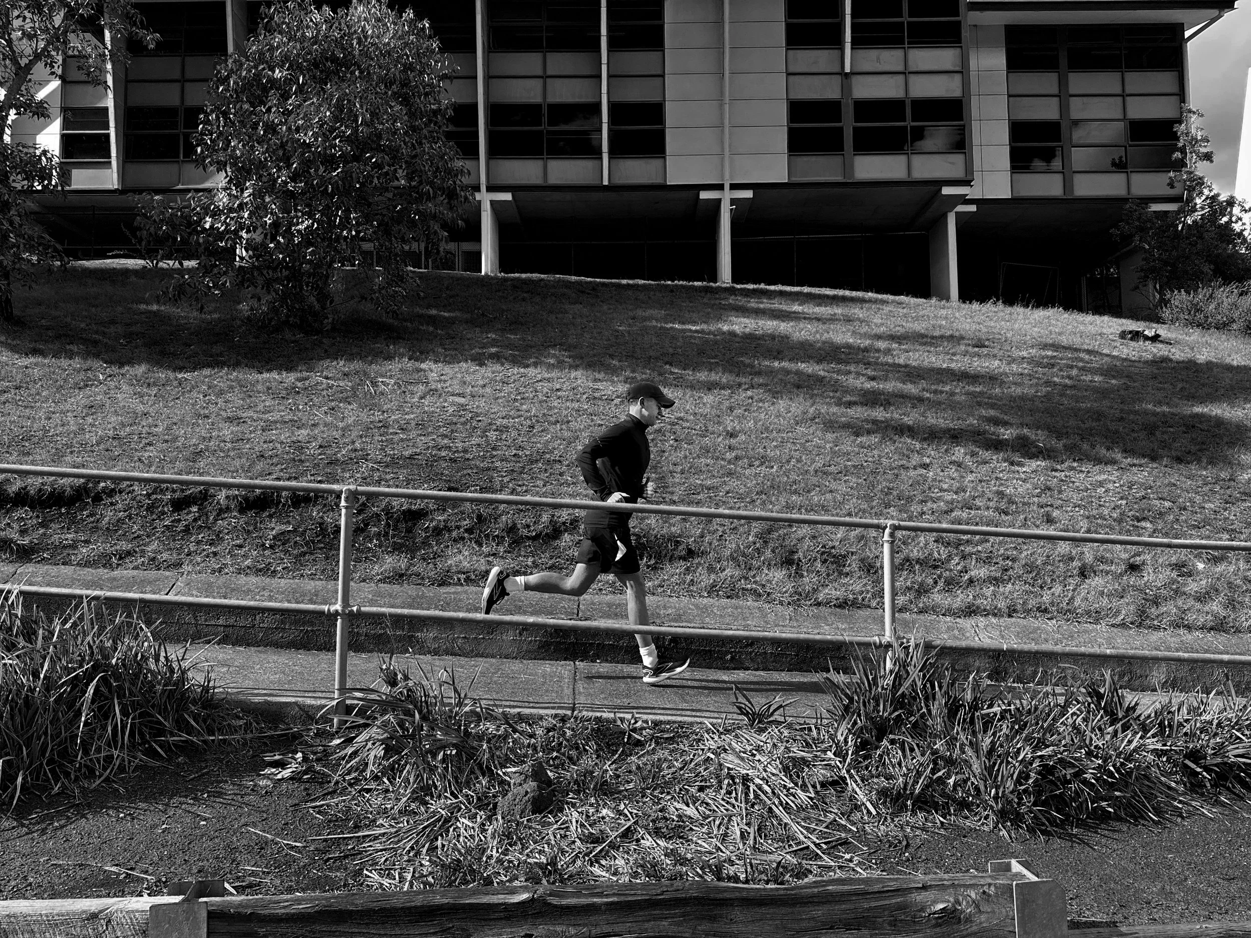 IMG-5962 copy.jpg
