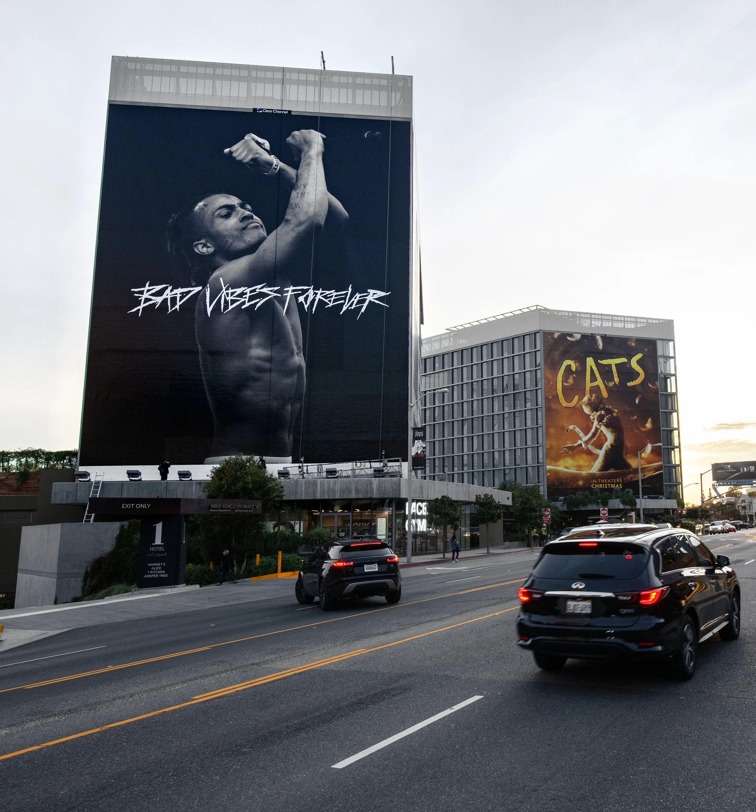 Large building with a huge billboard displaying a shirtless man and the text 'Bad Vibes Forever.' Beside it, another building features a 'Cats' musical poster. Cars are driving on the street below.