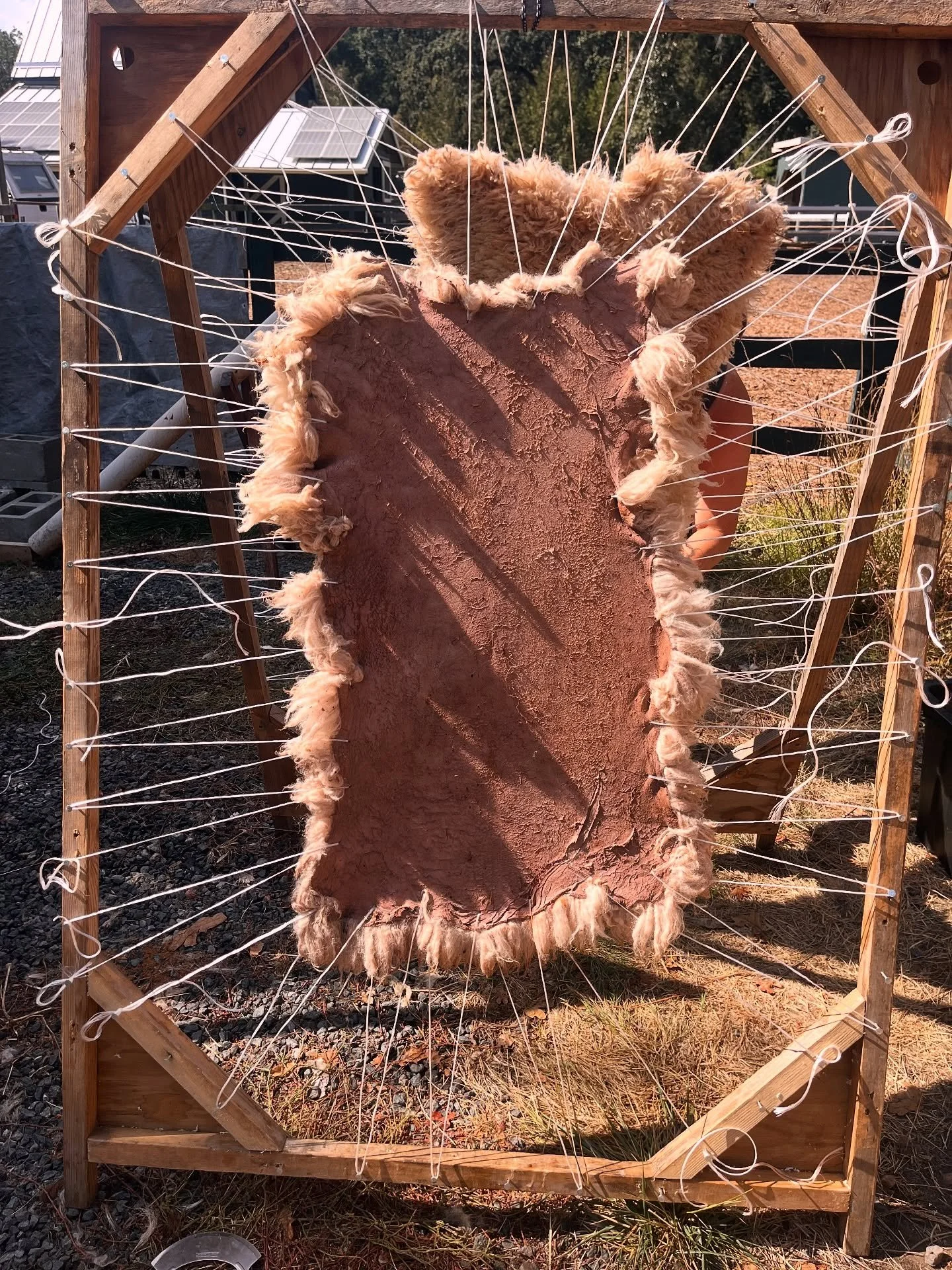 Fern and Roe @fern.and.roe (aka Mara Cur) led a beautiful weekend workshop where our group learned about the bark tanning method for processing sheep hides. What a gift - the lessons, the lives of the sheep, and the land that held us. So very gratefu