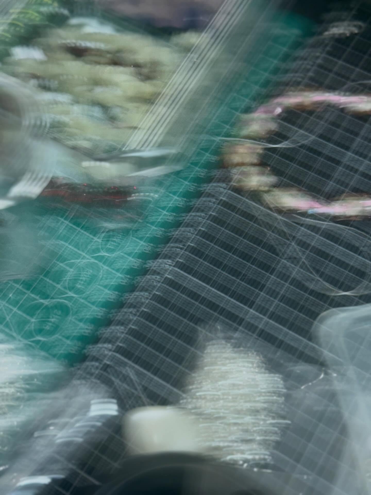 SCAPE &mdash; DROP 3 - Shop online at xpncr.com or schedule a private appointment to purchase in person.