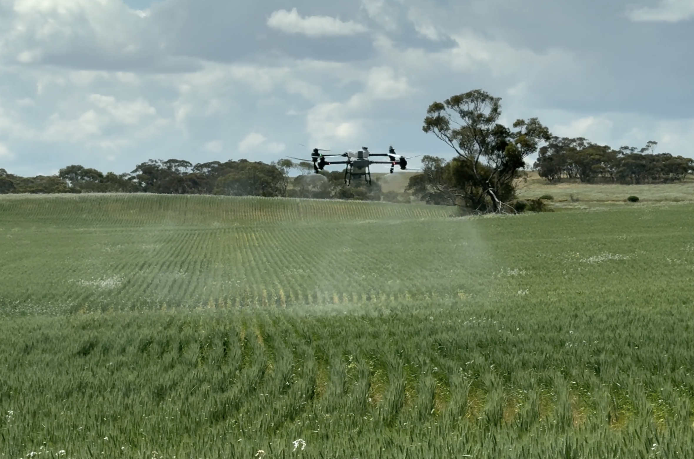 A drone flying over a green farm field, spraying water or chemicals, with trees and a partly cloudy sky in the background.