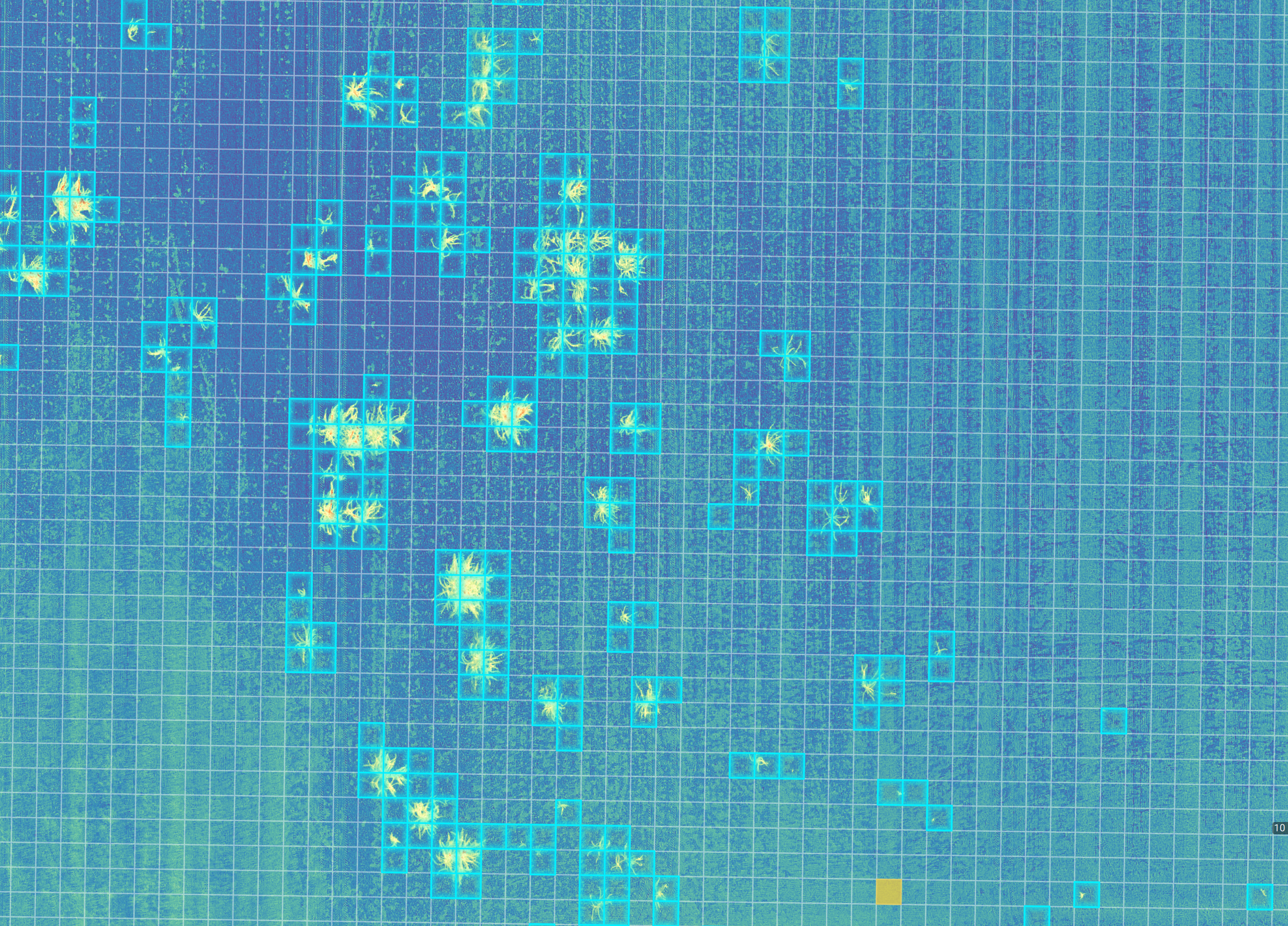 Map and Application packages