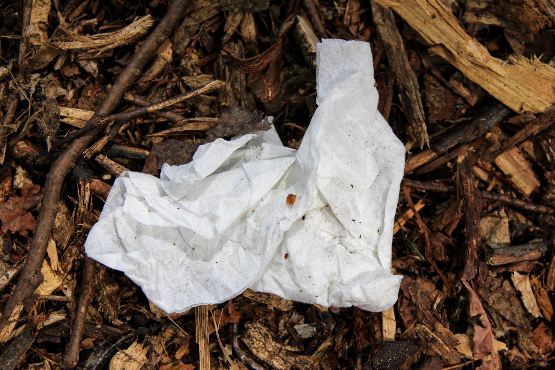 Tissue In Woodchips