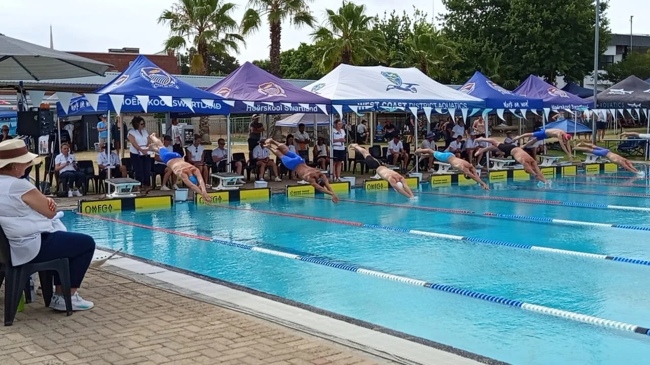 Swimmers diving into the pool during a competitive swimming event with officials and spectators watching.