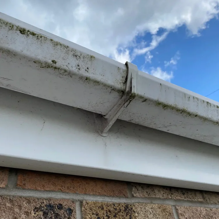 Dirty, green fascias and gutters before cleaning in Magor