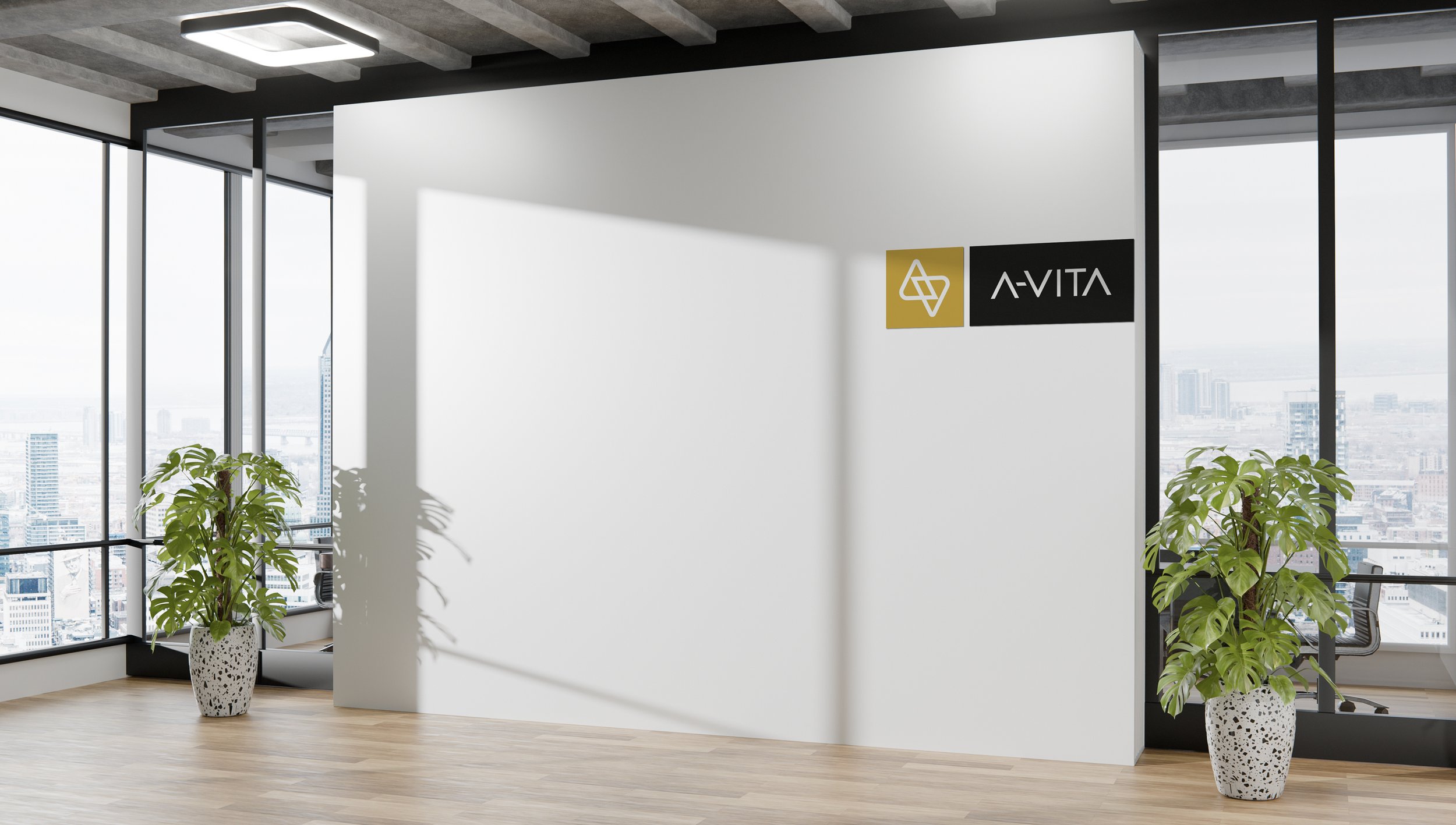 avita_10.jpg