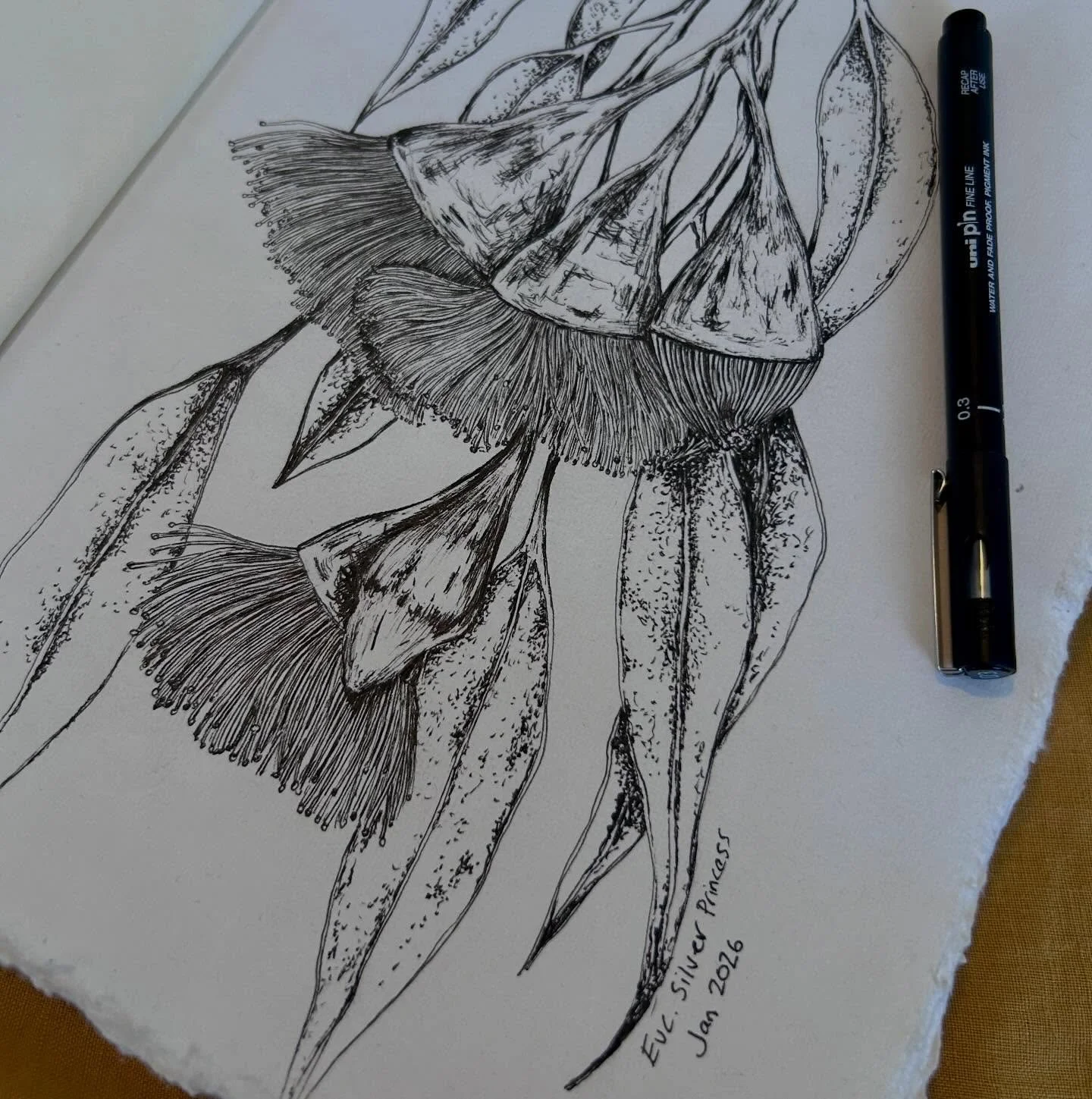 What is your antidote to apathy? I would love to share that I am starting the near full of energy and optimism, but the truth is, I am not. Small actions will lead to bigger action though, so the first page of my fresh new sketch pad got some ink tod