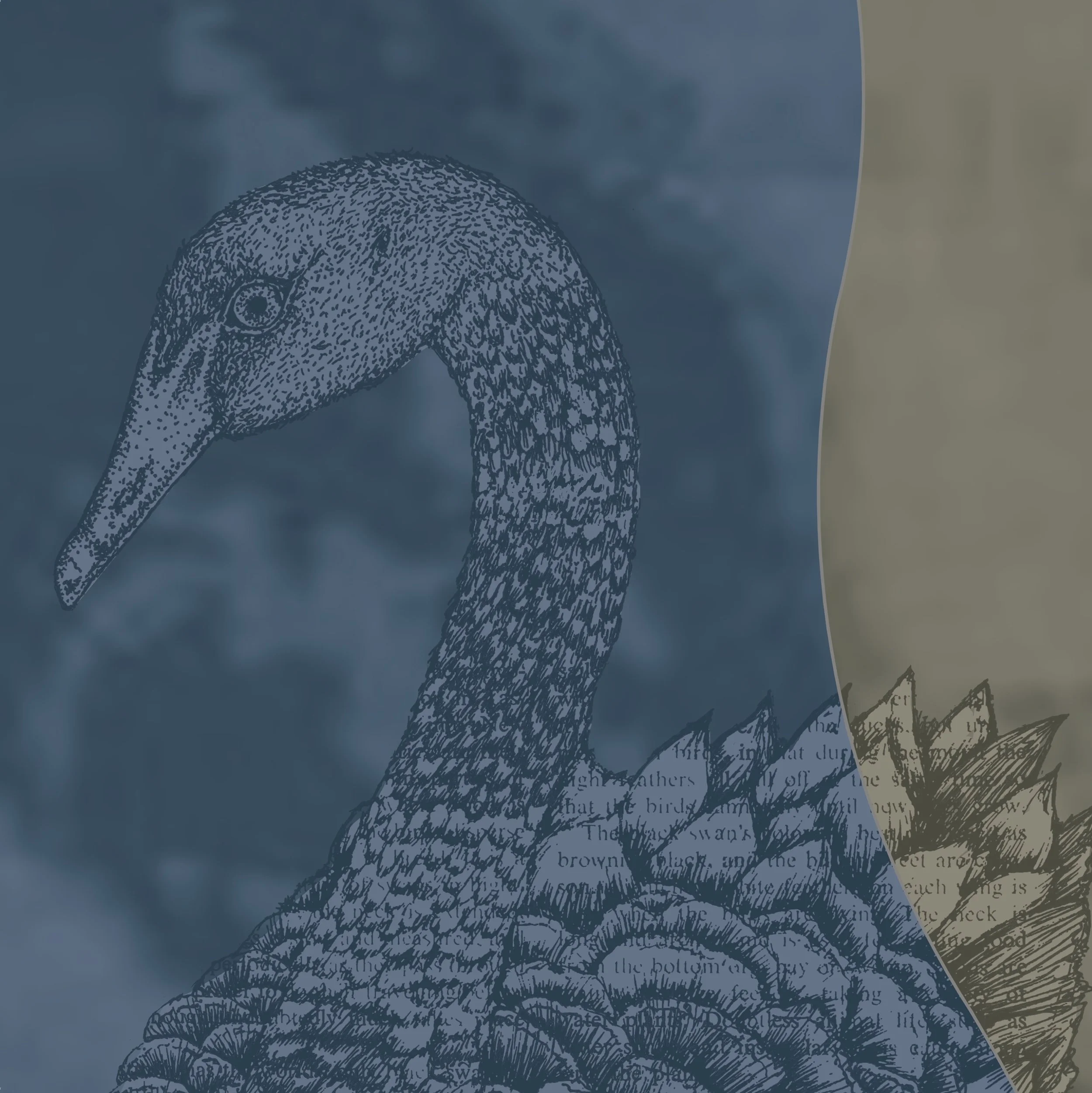 Swan monarch - pen illustration digital collage