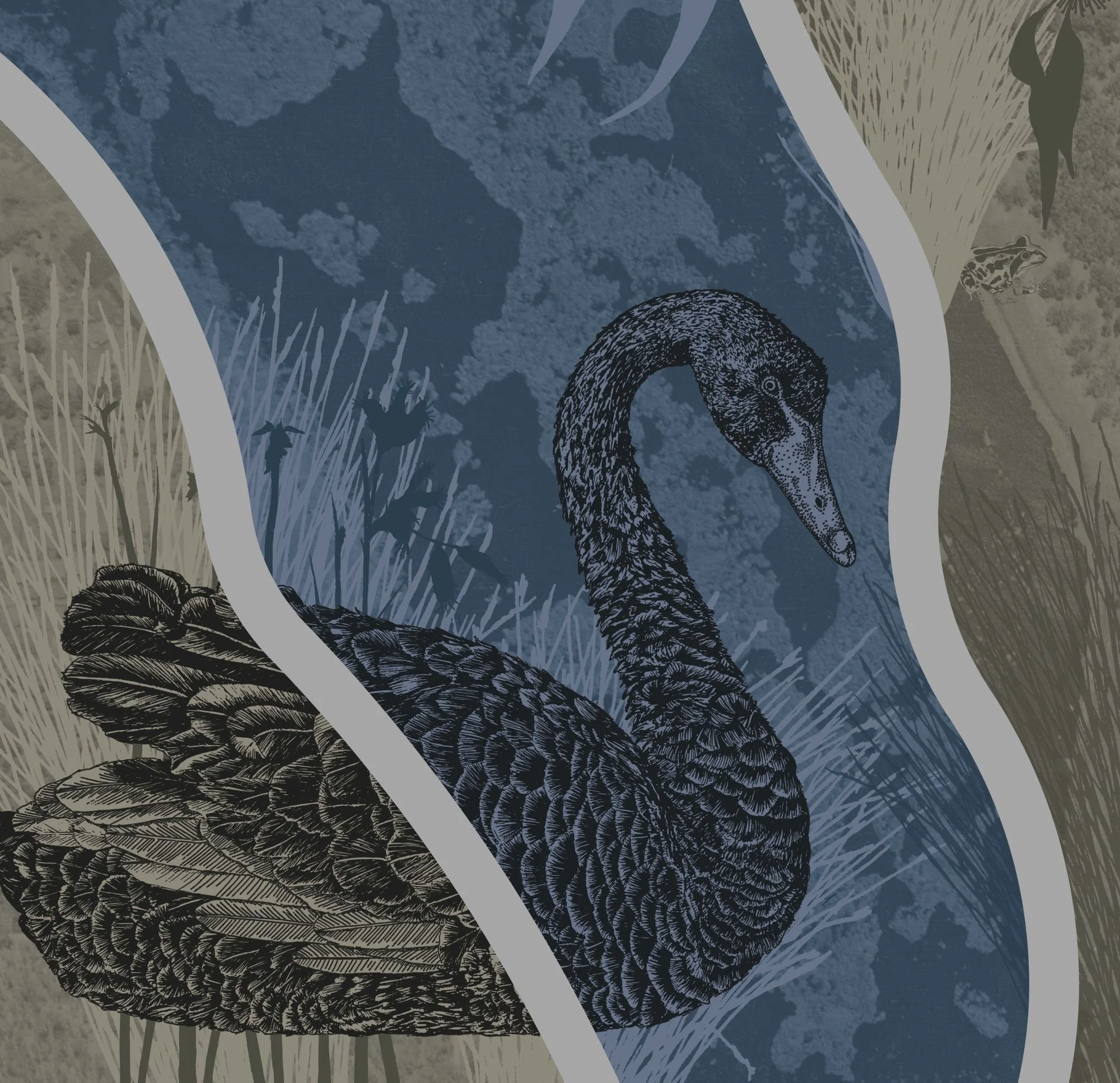 Black Swan illustration, digital collage, Renee Barton