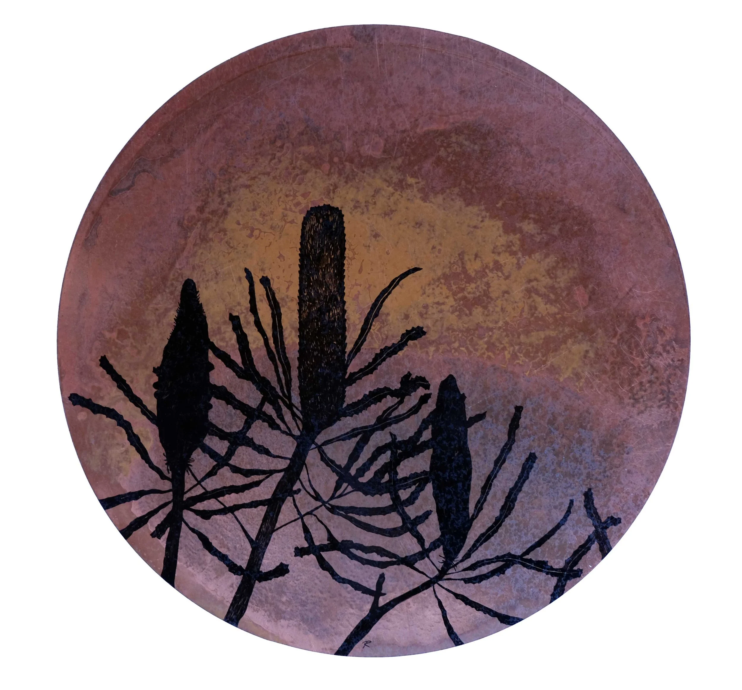 Banskia attentuata - Pen on Copper disc