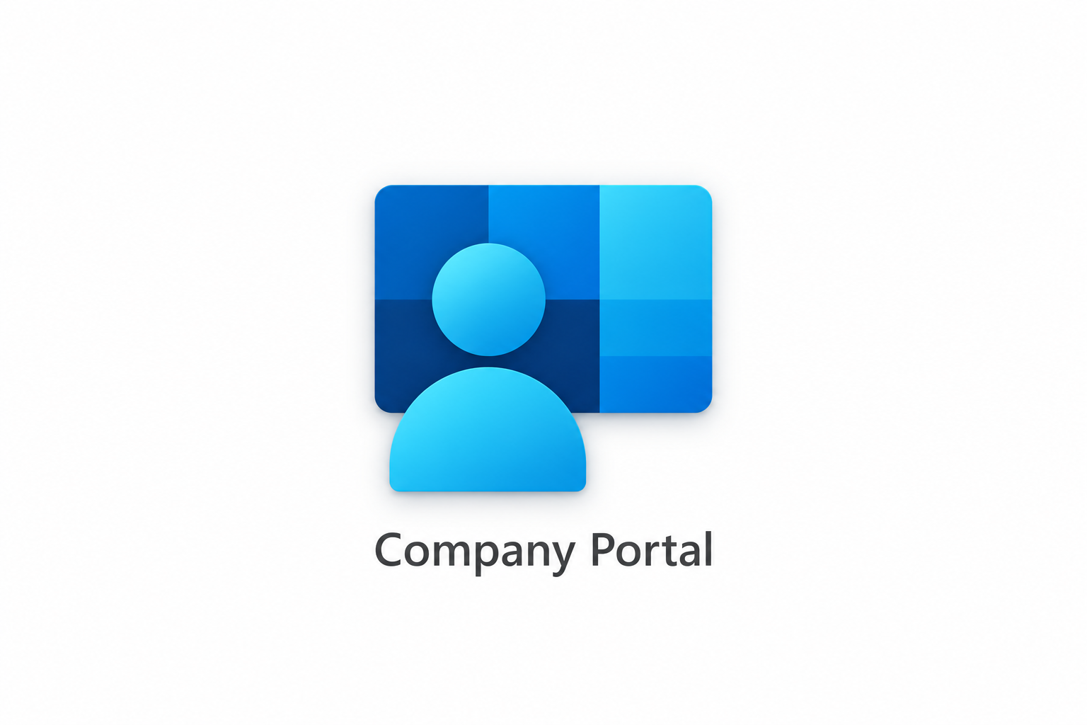 Microsoft Company Portal Setup