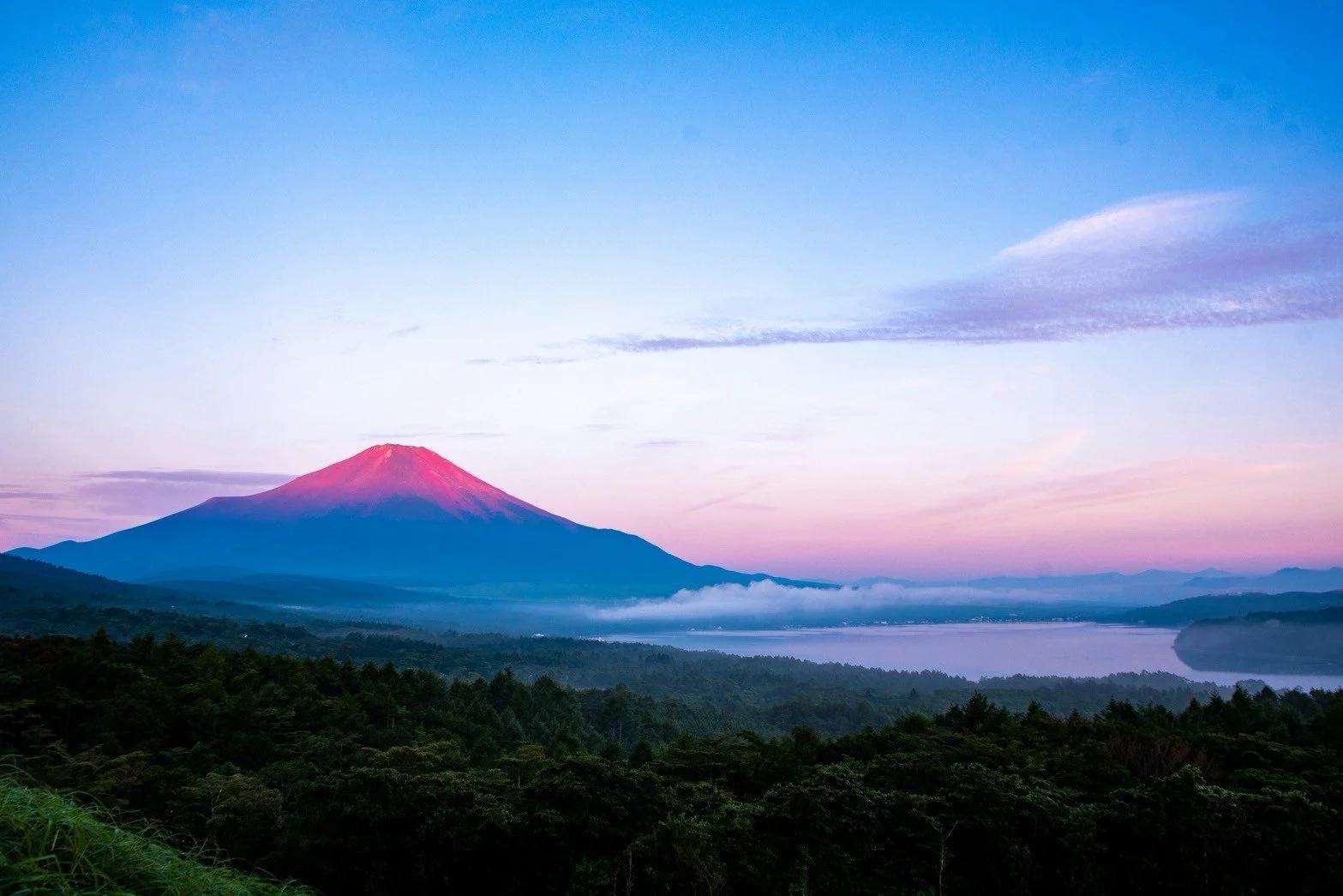 LINE_ALBUM_碧井portfolio_260819_28.jpg