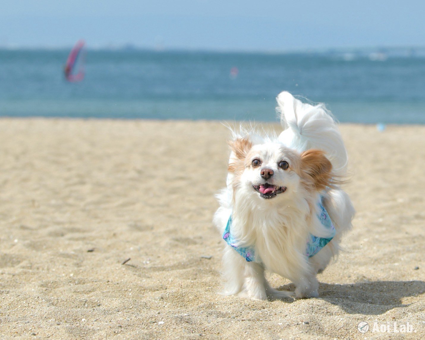 LINE_ALBUM_碧井portfolio_260819_117.jpg