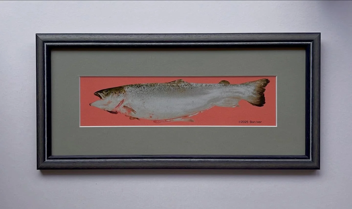 🎣 Bon Iver’s vis – gevangen in een lijst, klaar voor de muur.
Een unieke vondst, een bijzondere ode aan het onbekende.
#boniver #art #fishframed #framedart #kunstenaardig #lijstenmakerij @boniver
