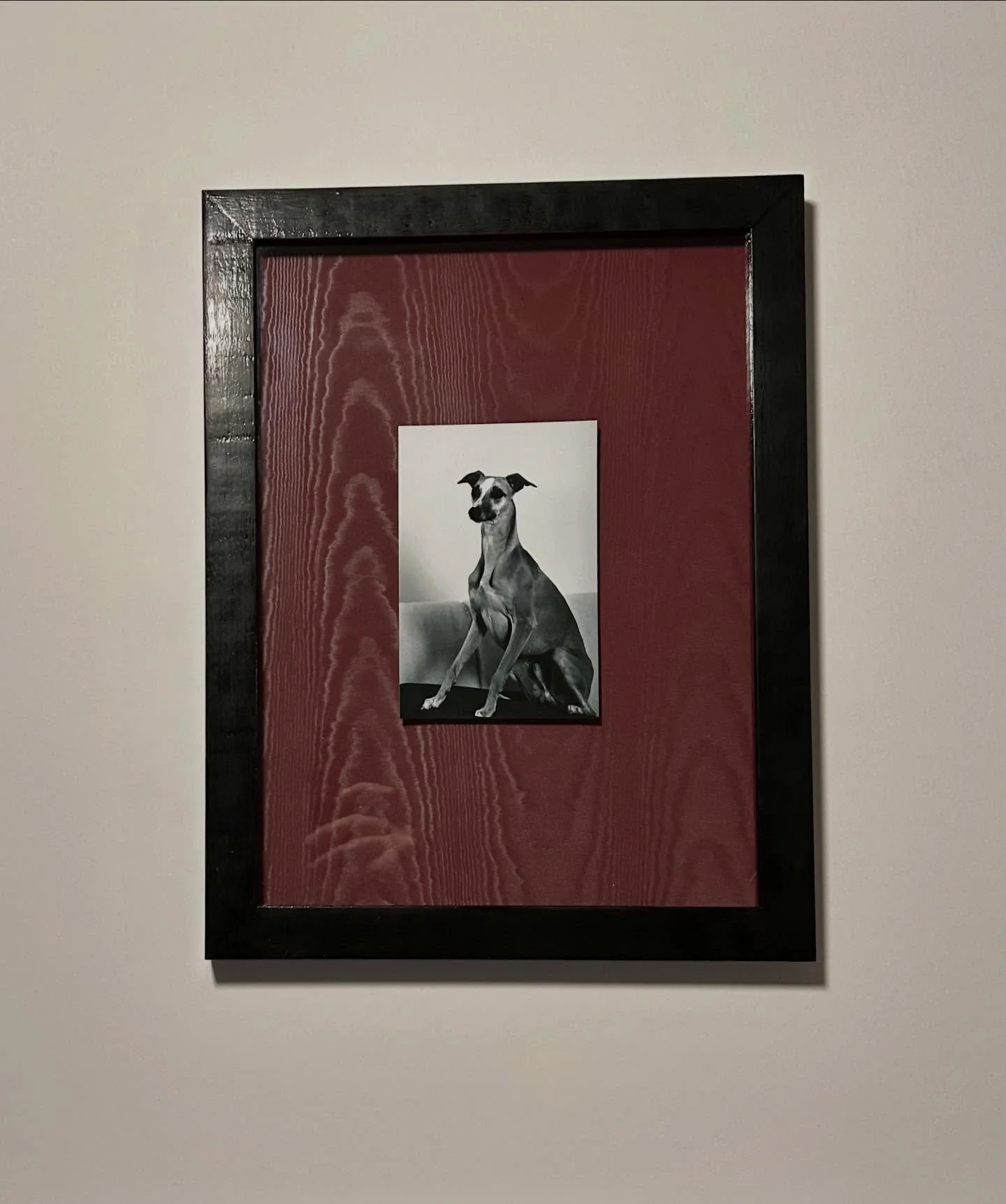 Een verdiepte lijst met een zwevend geplaatste foto.
Hand gepolitoerd in diep zwart met schellak, gemaakt om ruimte en aandacht te geven aan het beeld.
Onze lieve hond als onderwerp, nu op een vaste plek in onze werkplaats.

Afmeting: 30 &times; 40 c