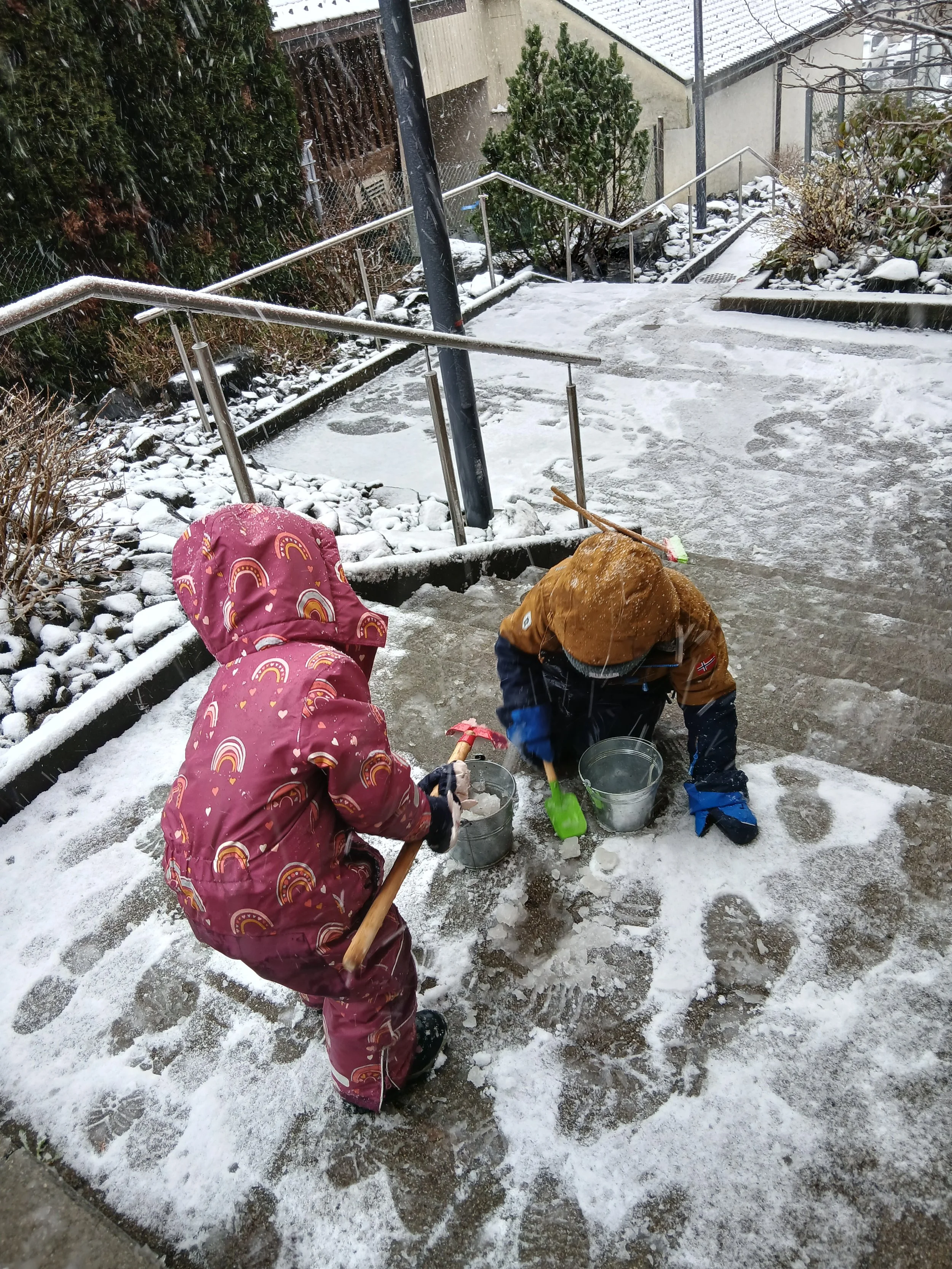 20260326_091340.jpg