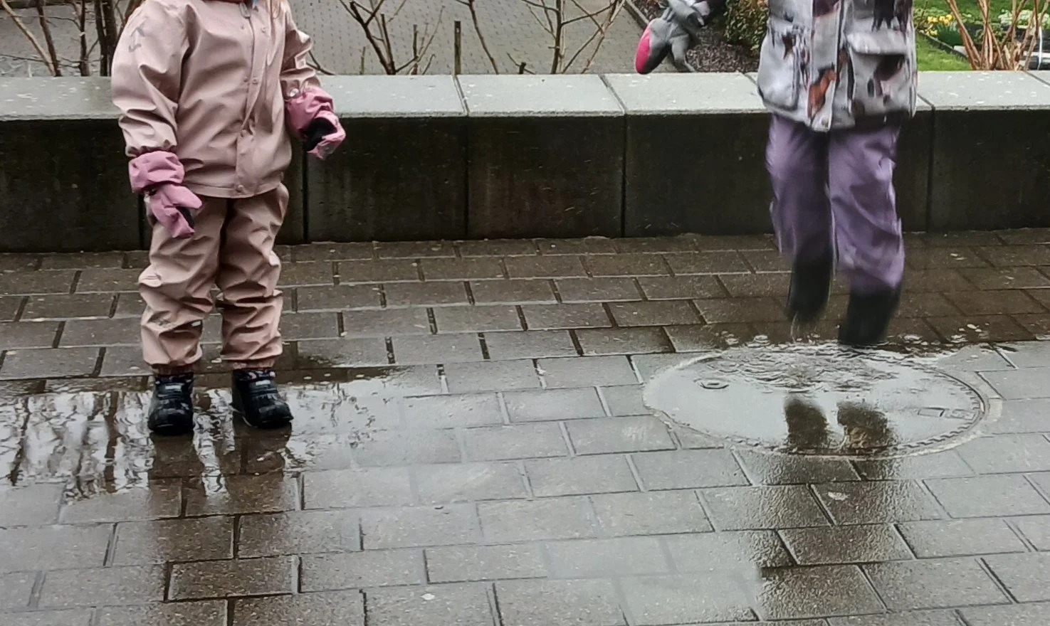 20260331_084431.jpg