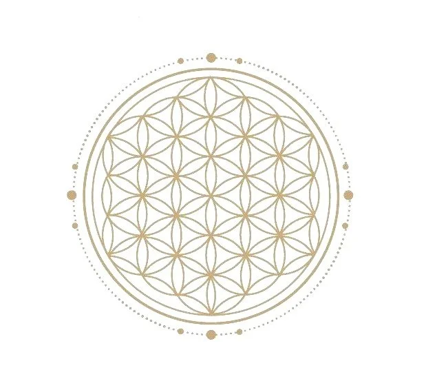 Flower of Life sacred geometry of interconnected circles in gold lines on a white background.