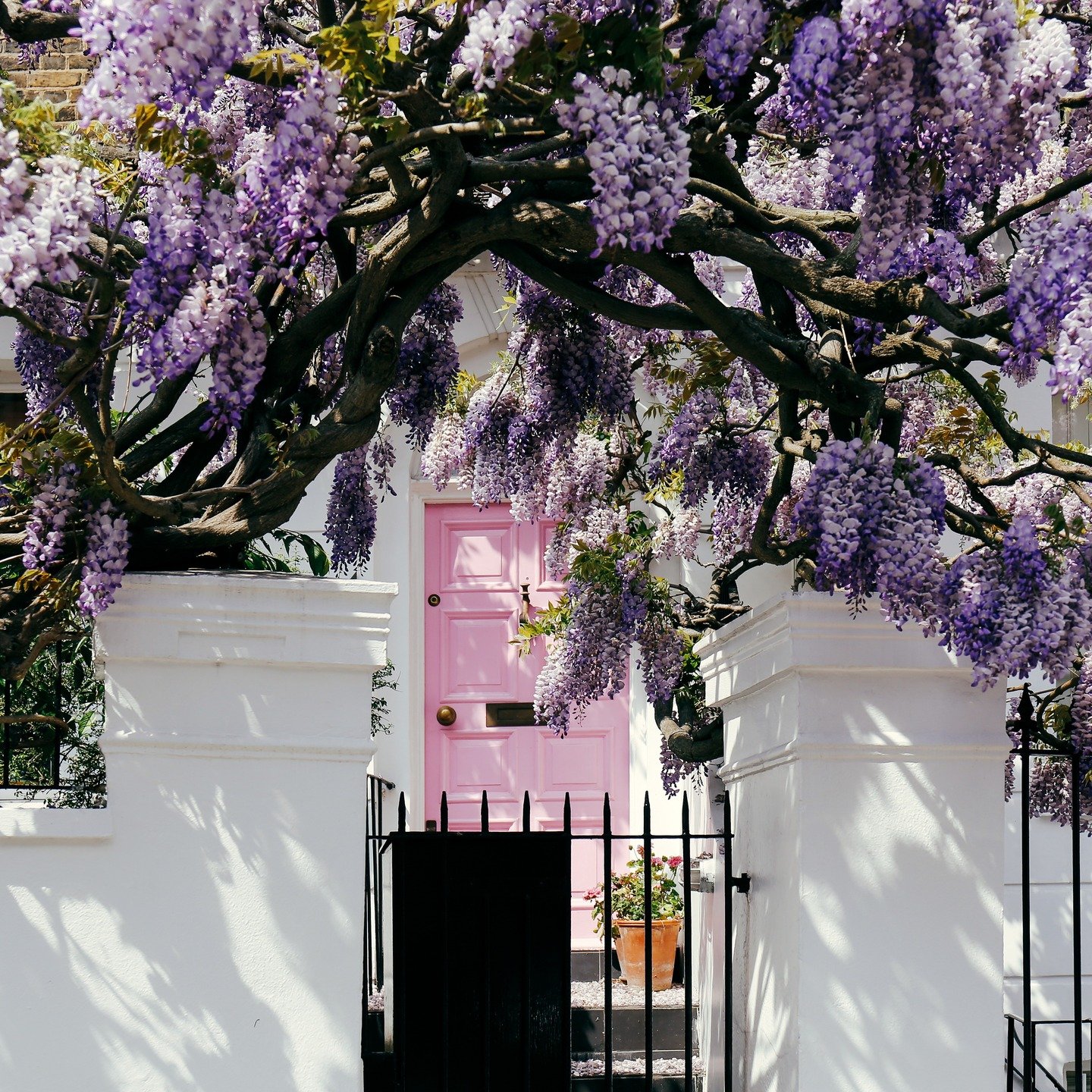 Happy Sunday Folks! 

The London property market is shifting, and opportunities are emerging.

Buyers are becoming more strategic, and sellers more realistic. In prime and emerging postcodes alike, the edge lies in local knowledge and negotiation ski