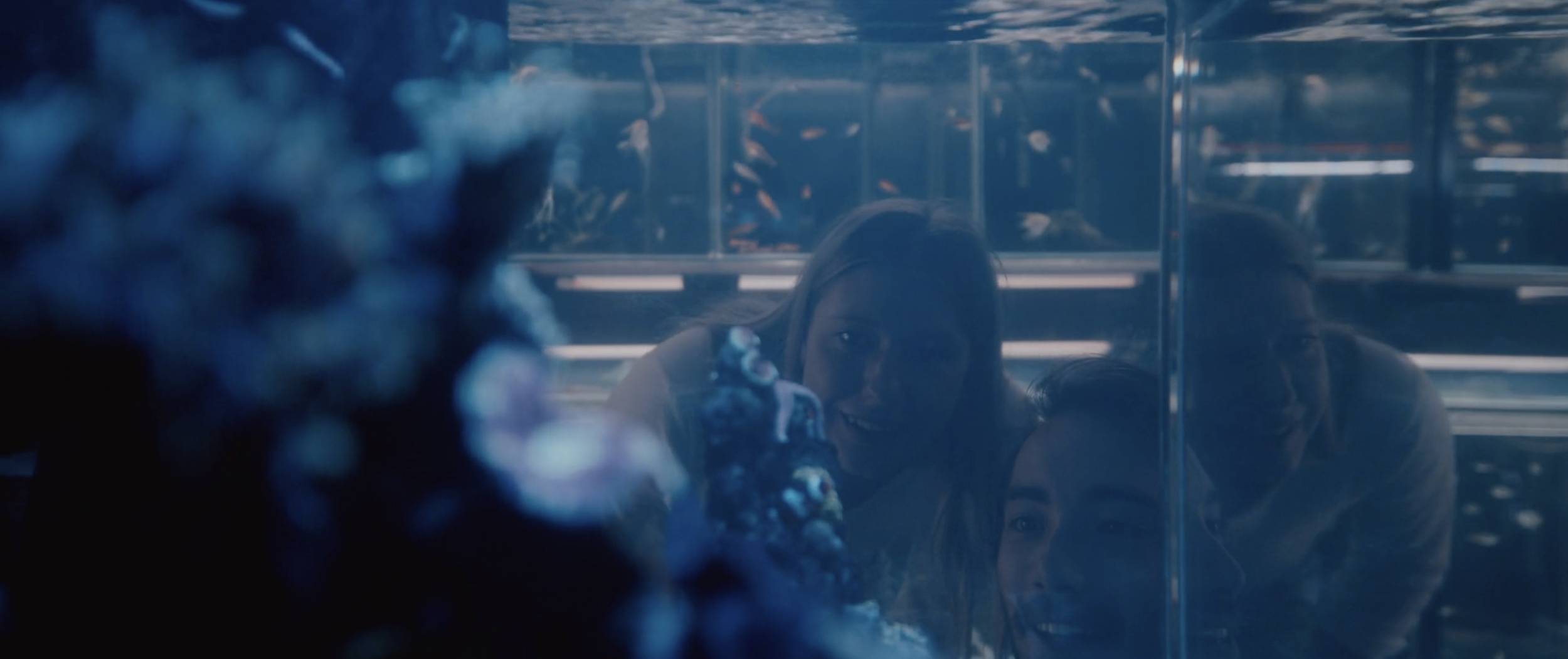 Screenshot 2025-12-12 at 10.45.58 am.png