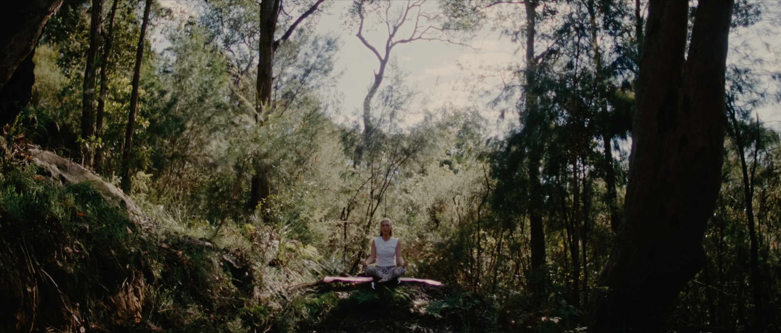 Screenshot 2025-12-12 at 11.05.03 am.png