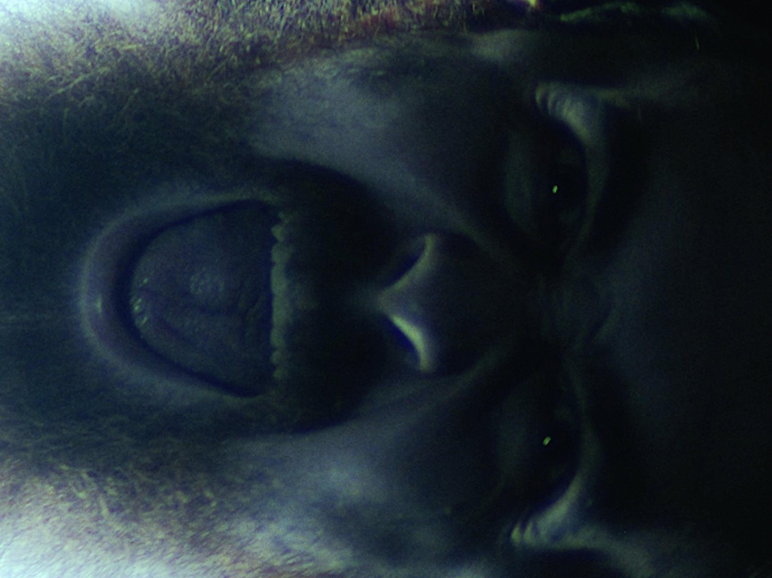 Screenshot 2025-12-12 at 4.04.00 pm.png