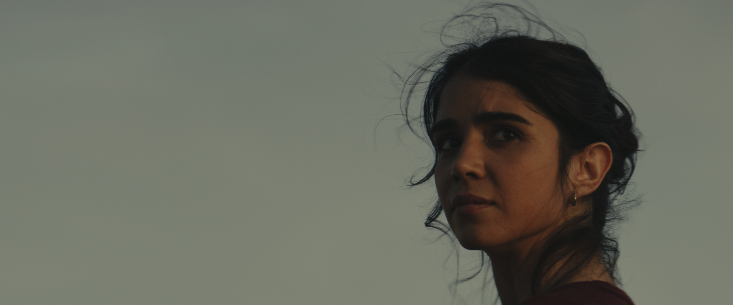 Screenshot 2025-04-30 at 10.46.02 pm.png