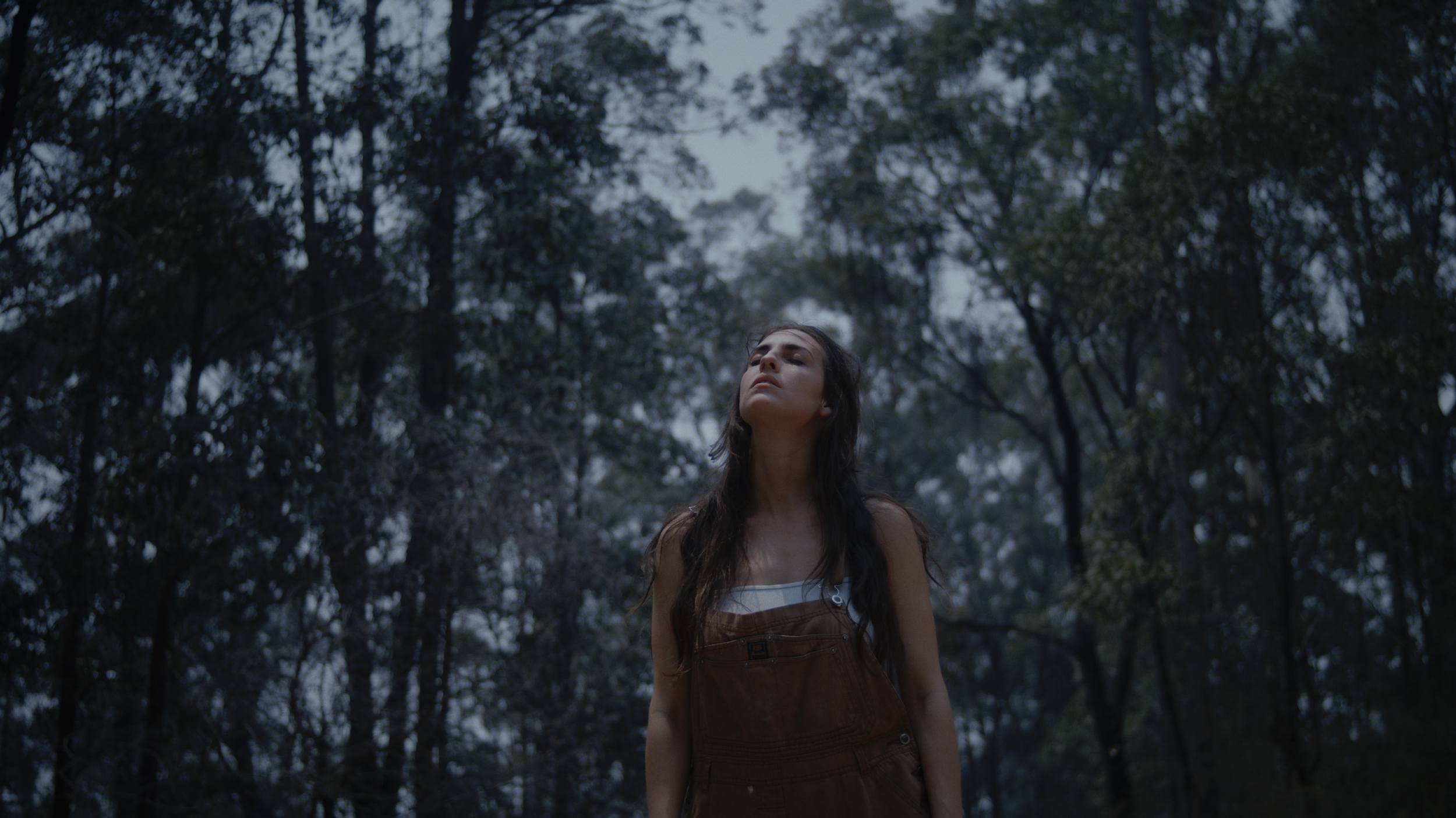 Screenshot 2025-12-12 at 3.36.12 pm.png