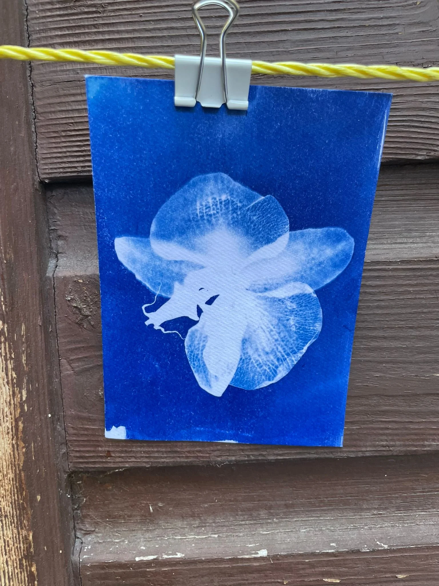 WhatsApp Image 2026-04-27 at 15.55.42.jpeg