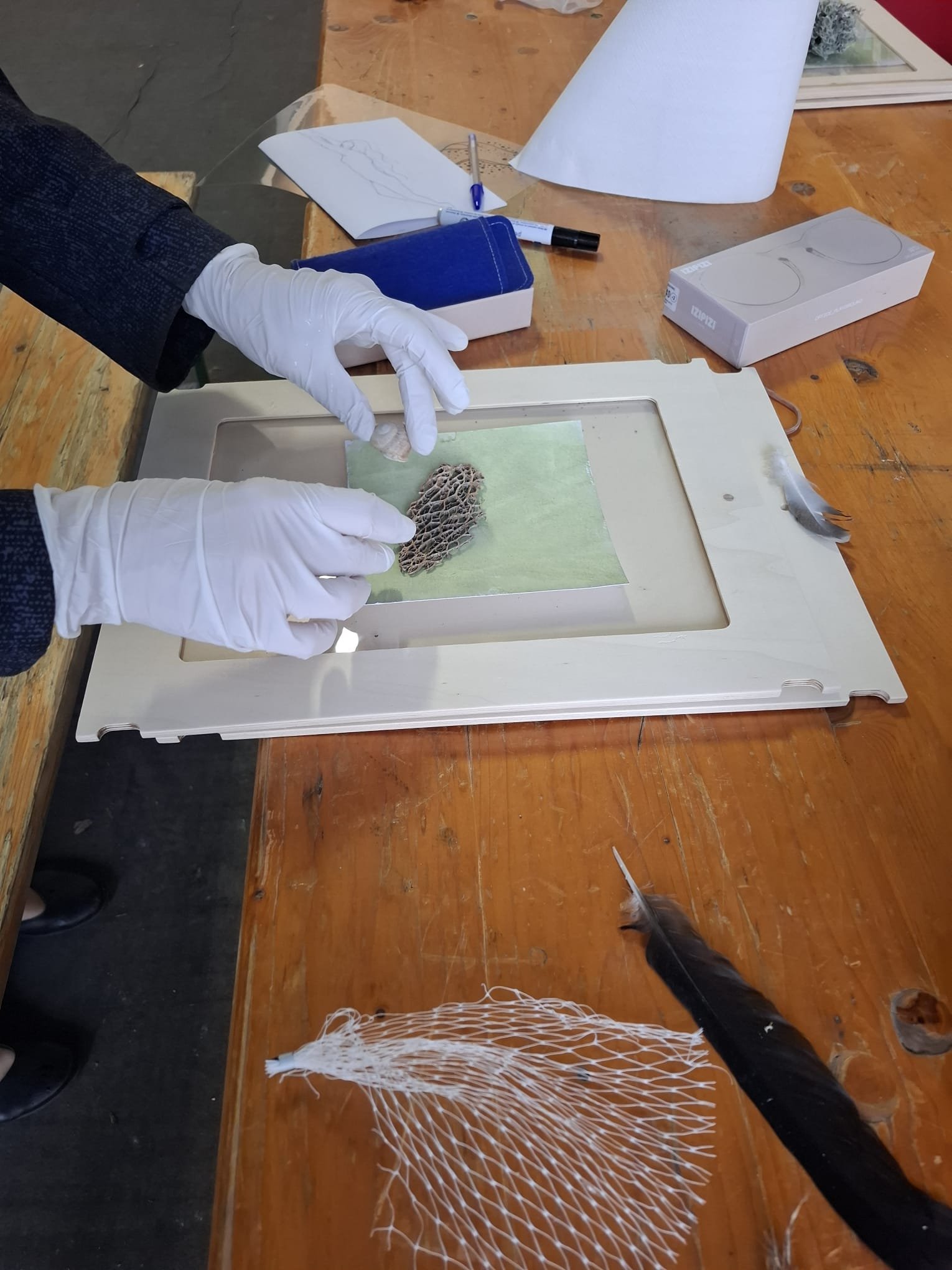 WhatsApp Image 2026-04-27 at 15.57.50 (3).jpeg