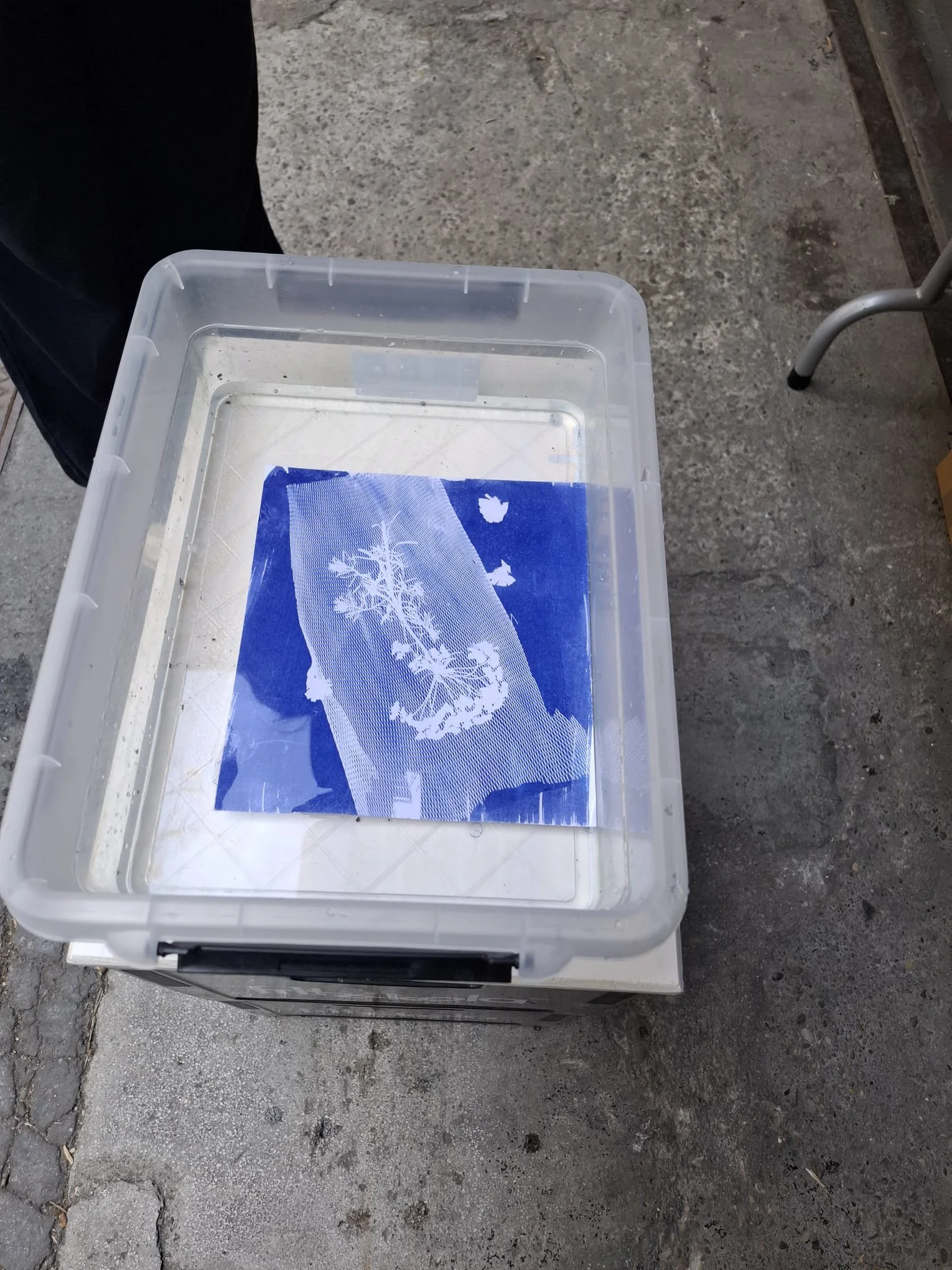 WhatsApp Image 2026-04-27 at 15.57.50.jpeg