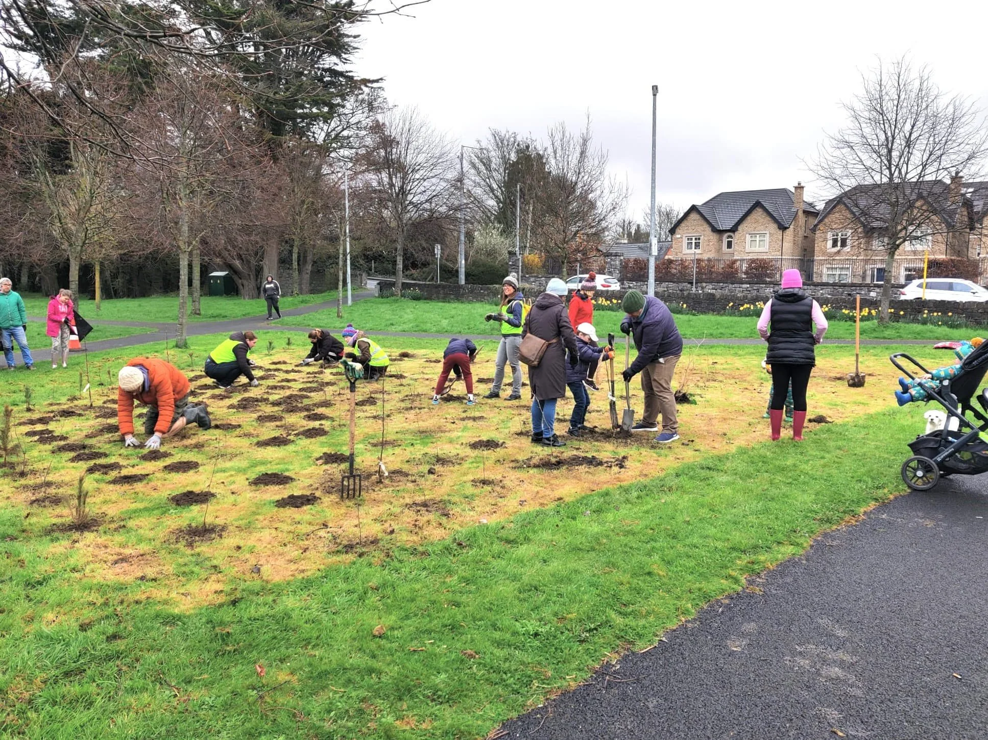 How to Plant a Micro Forest 