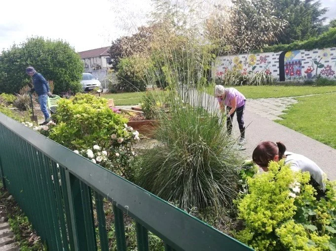 How to Manage a Community Garden