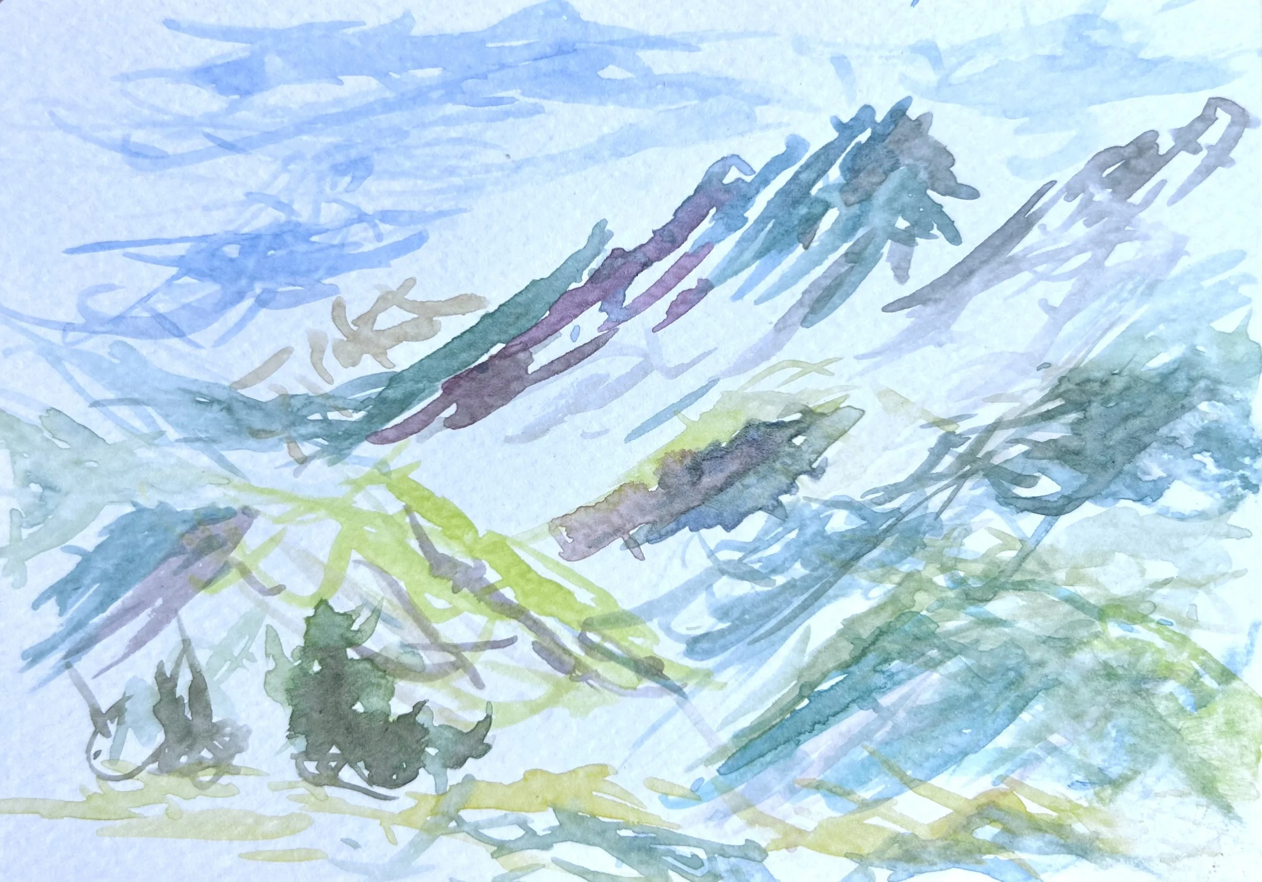 IMG_7512.jpeg