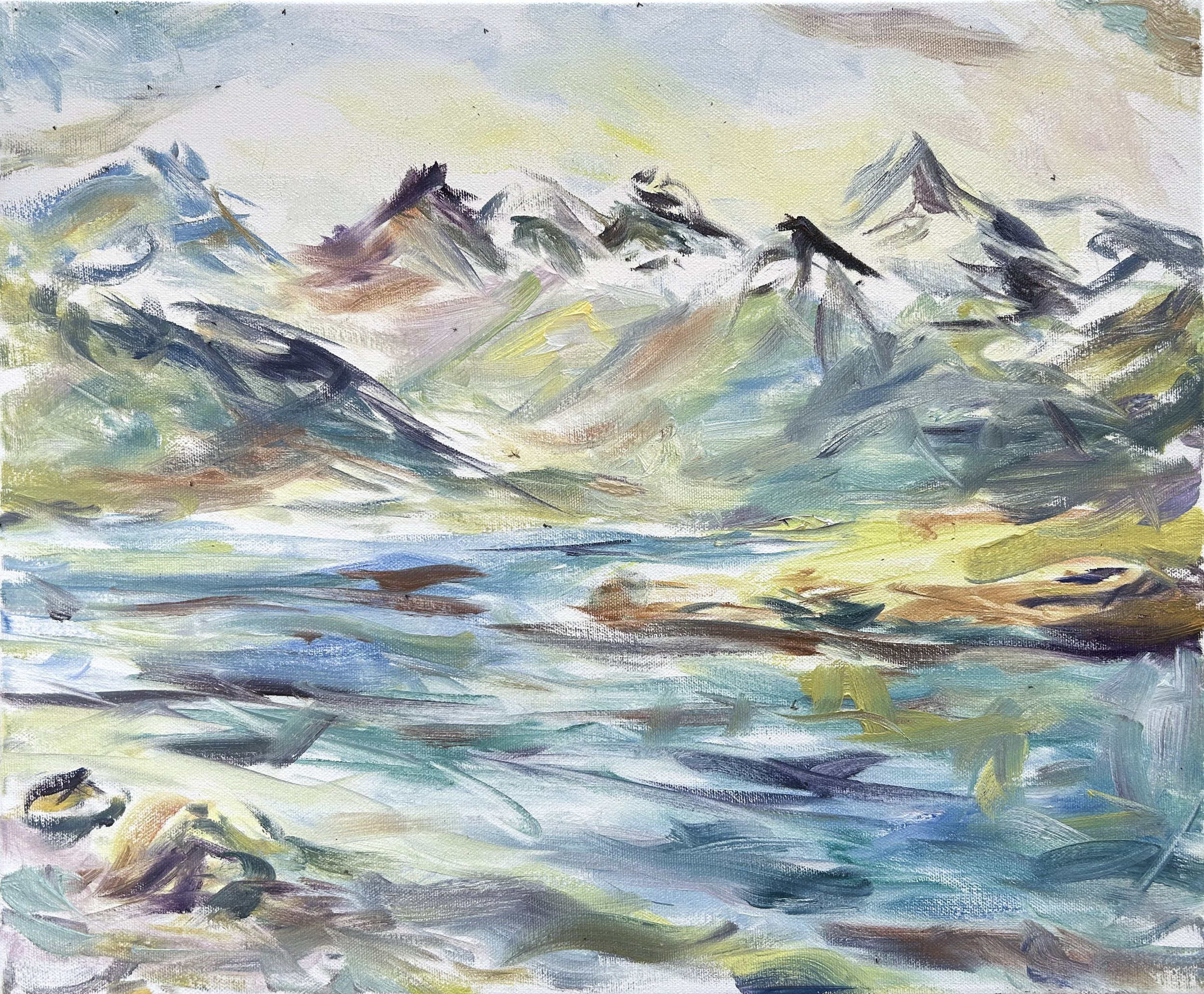 John Springer Patagonia art residency Chulengo8.JPG