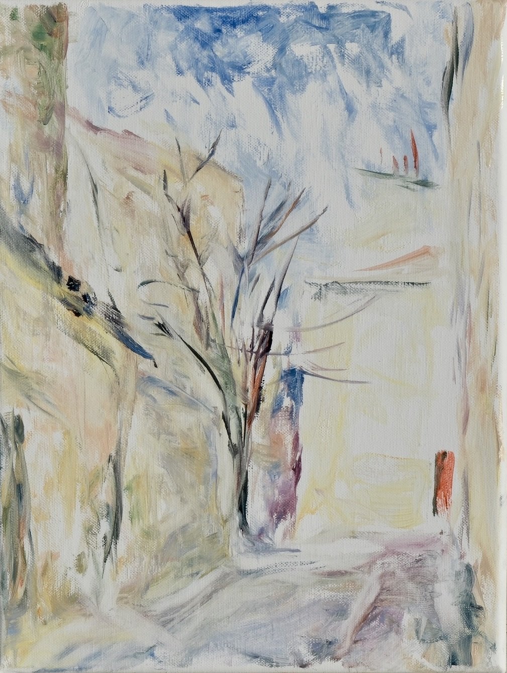 _DSF6245.JPG