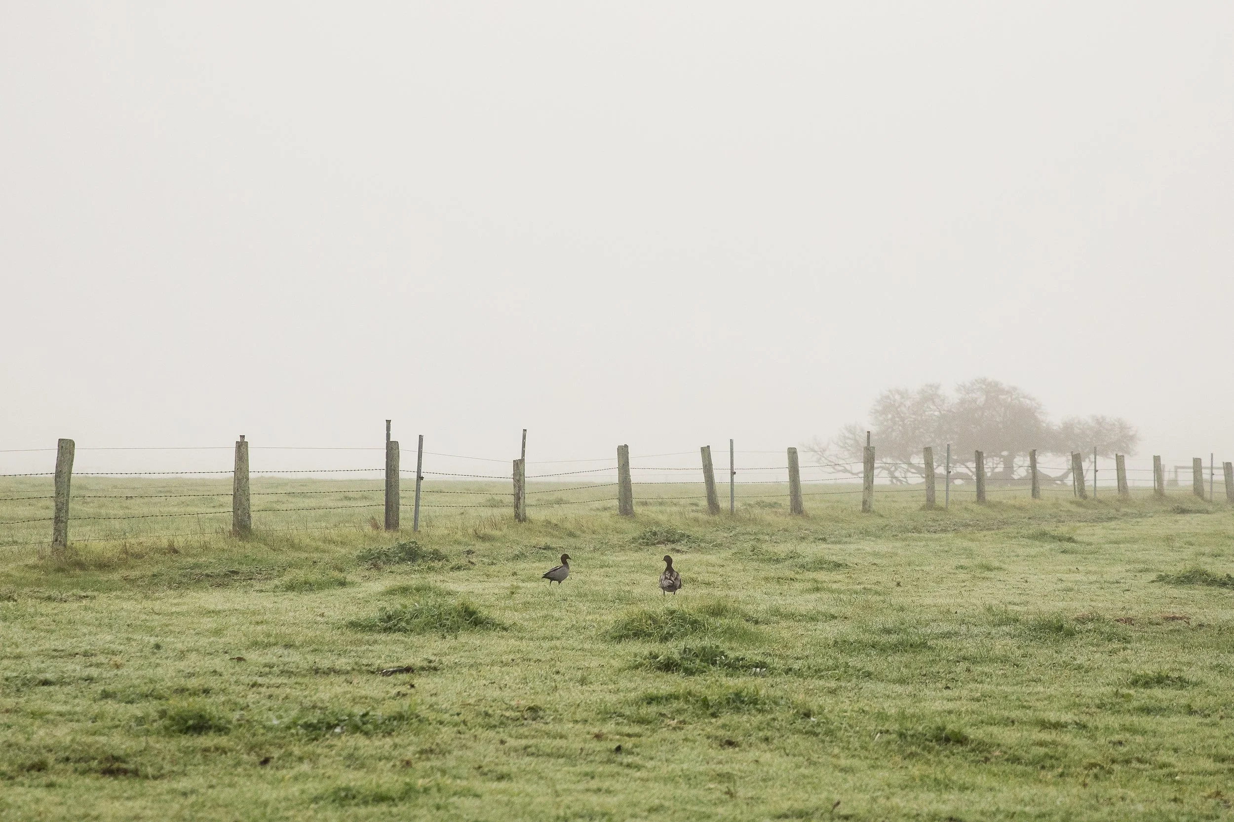 lizziewilkiephotos-32.jpg