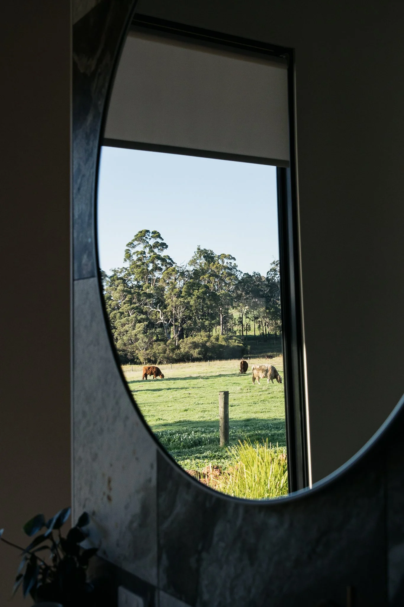 lizzieWilkiePhotos-37.jpg